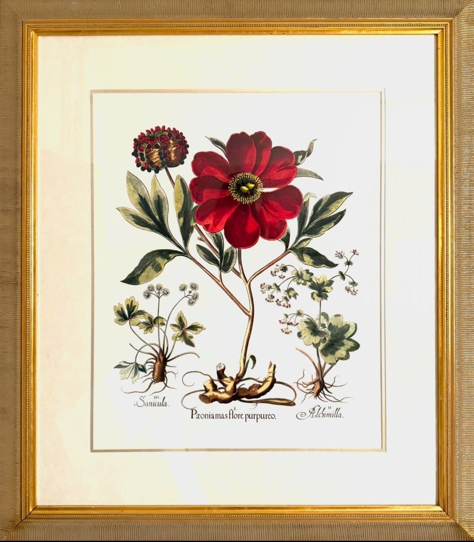 Large Botanical Lithographs Vibrant Color In Gold Gilt Frames Set Of 2 Red Floral - 11