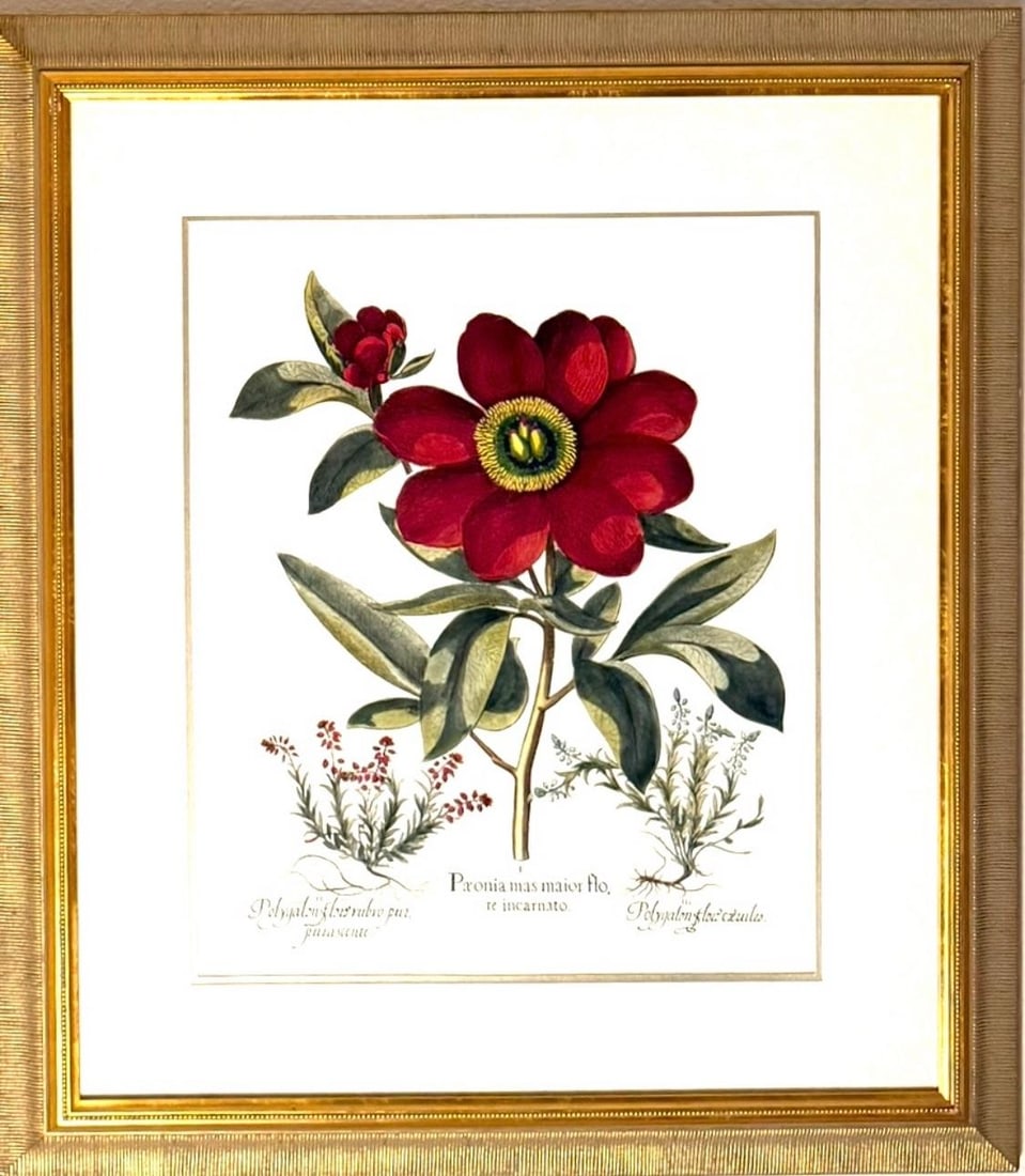 Large Botanical Lithographs Vibrant Color In Gold Gilt Frames Set Of 2 Red Floral - 12