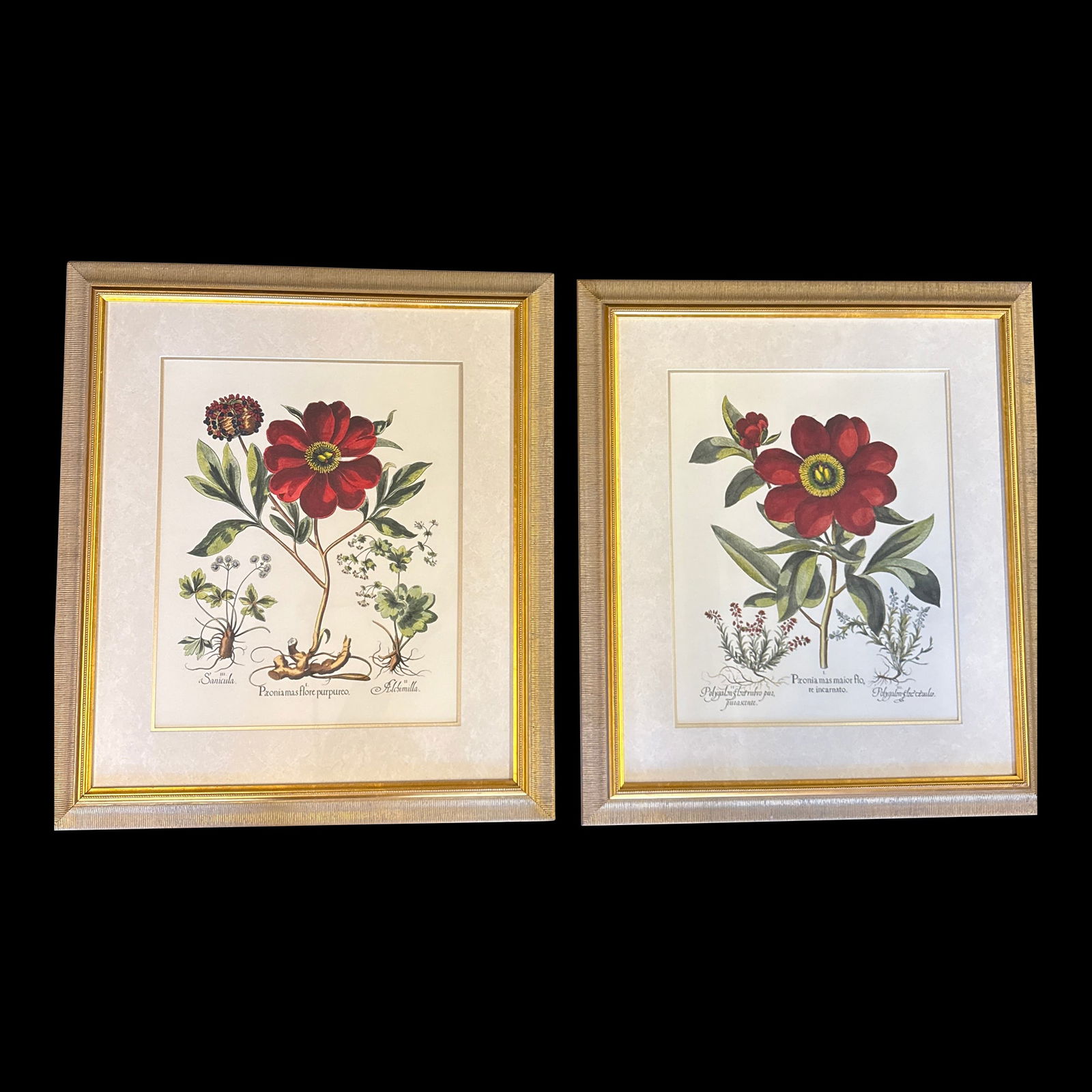 Large Botanical Lithographs Vibrant Color In Gold Gilt Frames Set Of 2 Red Floral - 13