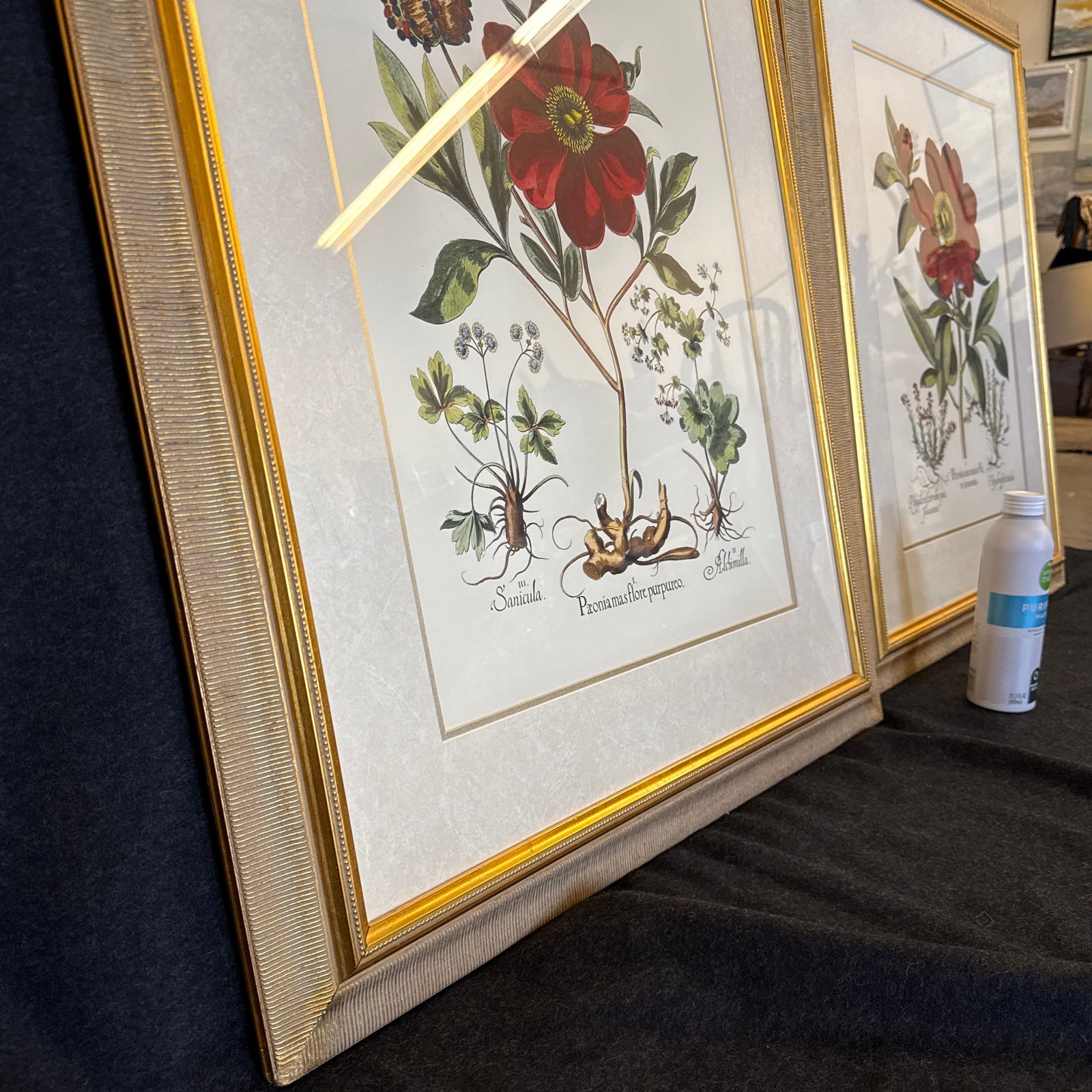 Large Botanical Lithographs Vibrant Color In Gold Gilt Frames Set Of 2 Red Floral - 9