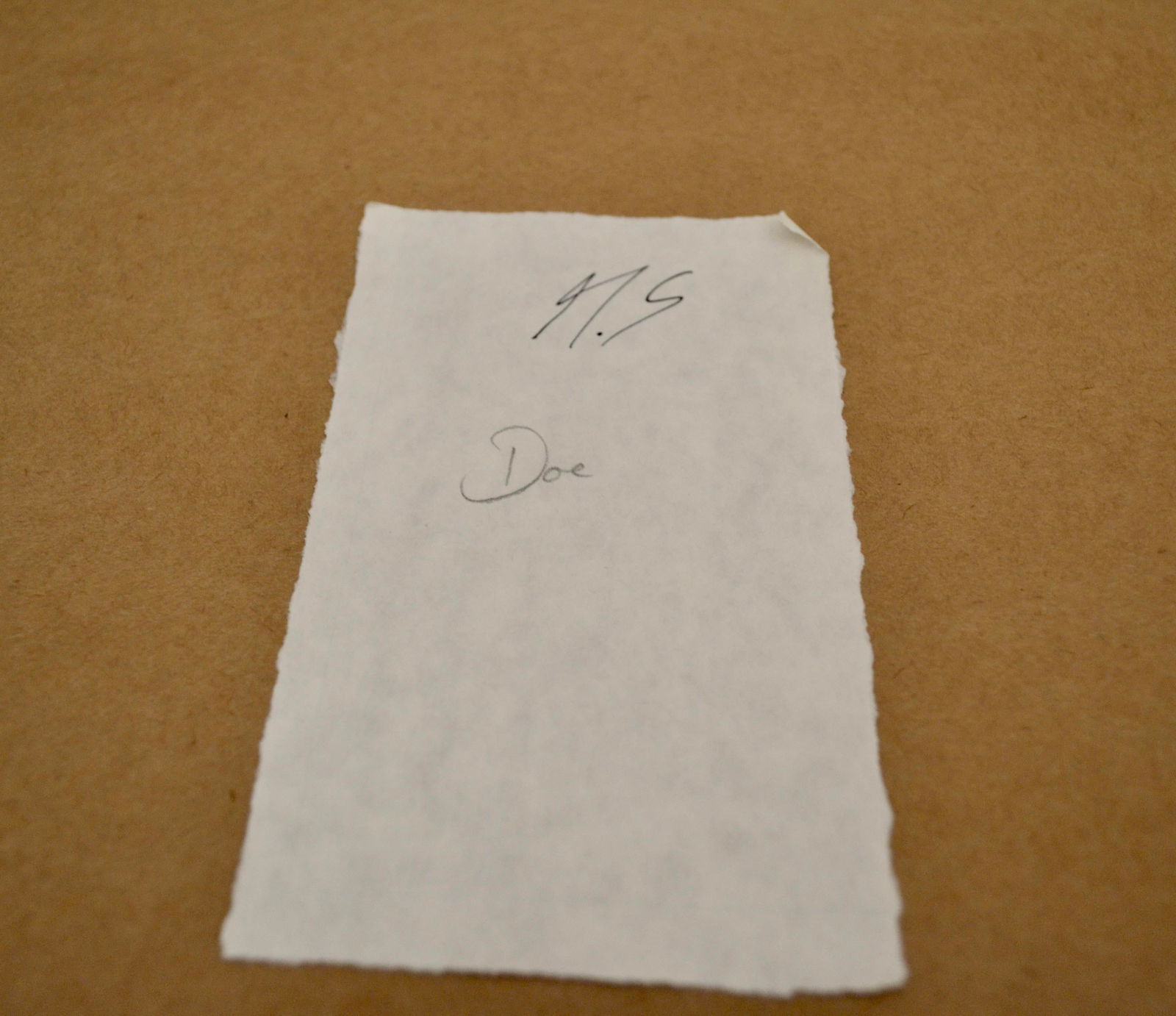 Zoe Bios Framed Male Form Drawings With Watercolor Animal Overlays - Set of 4 - 8