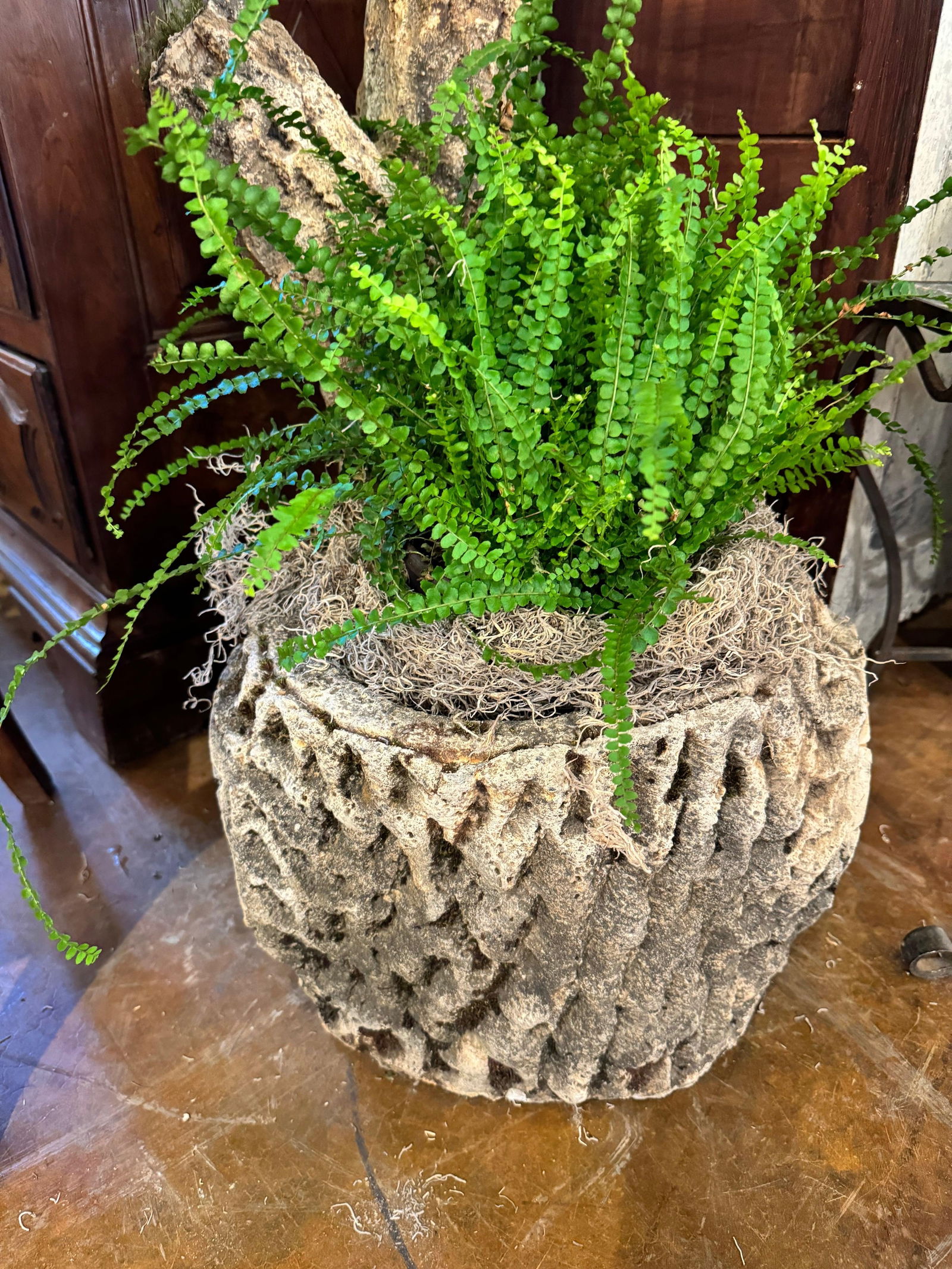 French Faux Bois Jardinier - 2