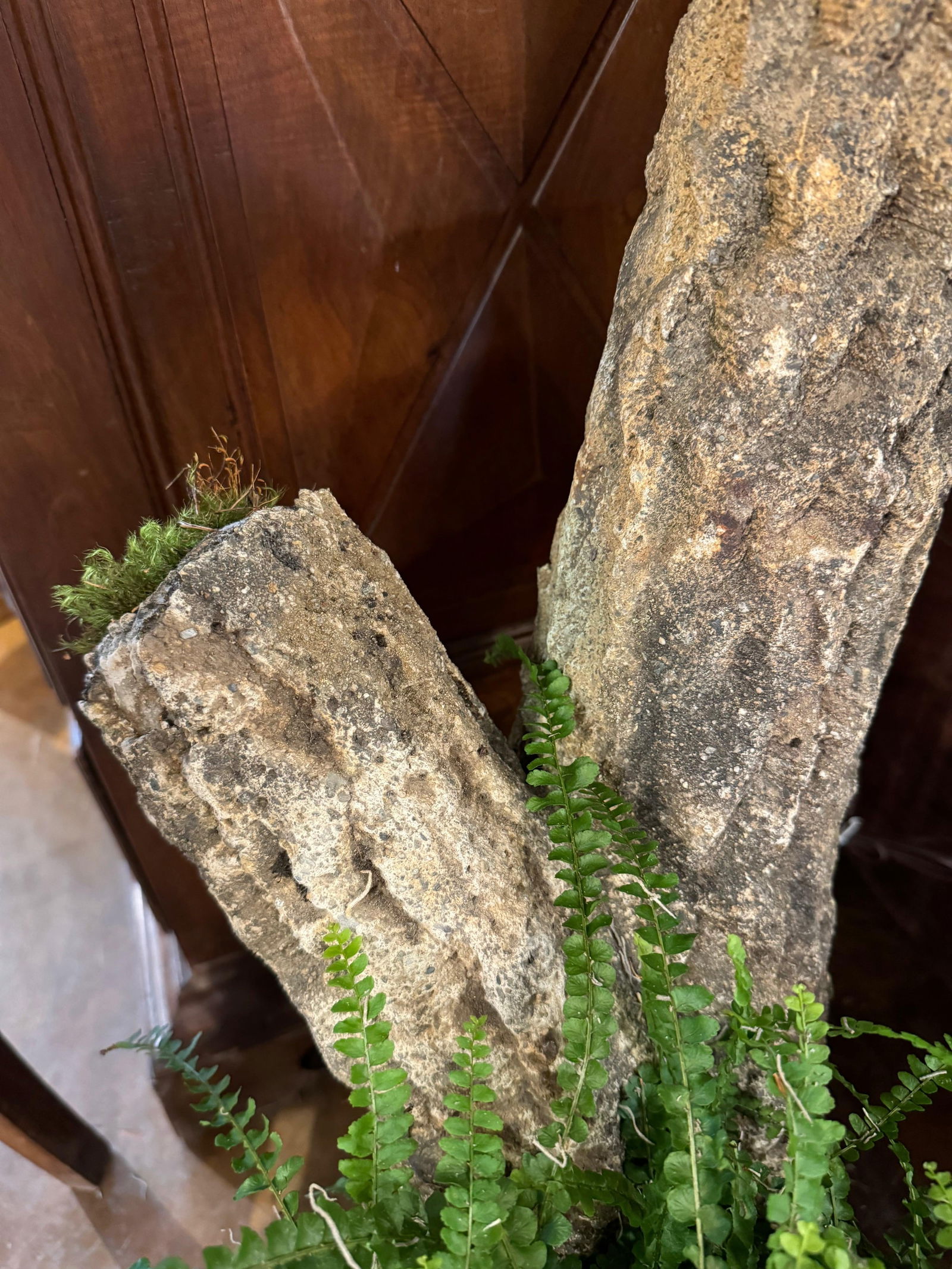 French Faux Bois Jardinier - 4