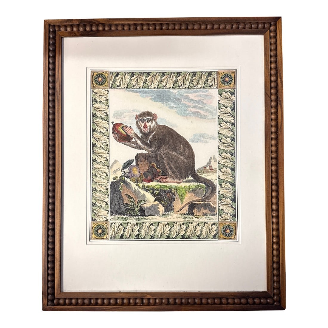Antique Print Hand Colored Lithograph Framed Monkey and Pomegranate 22.4" X 18.4" (1 of 7)
