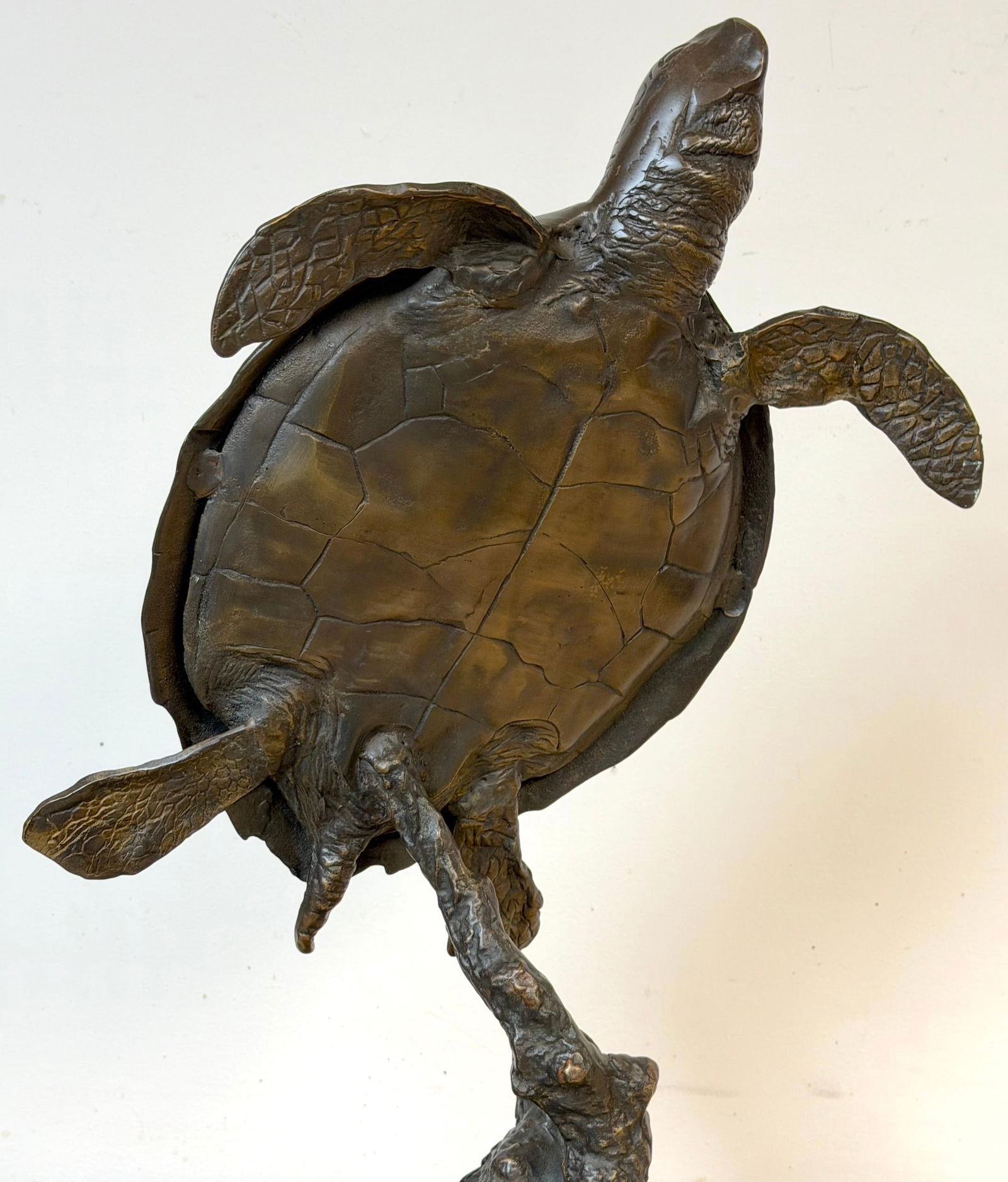 Monumental Bronze Sea Turtle Sculpture on Marble Base, Late 20th Century - 3