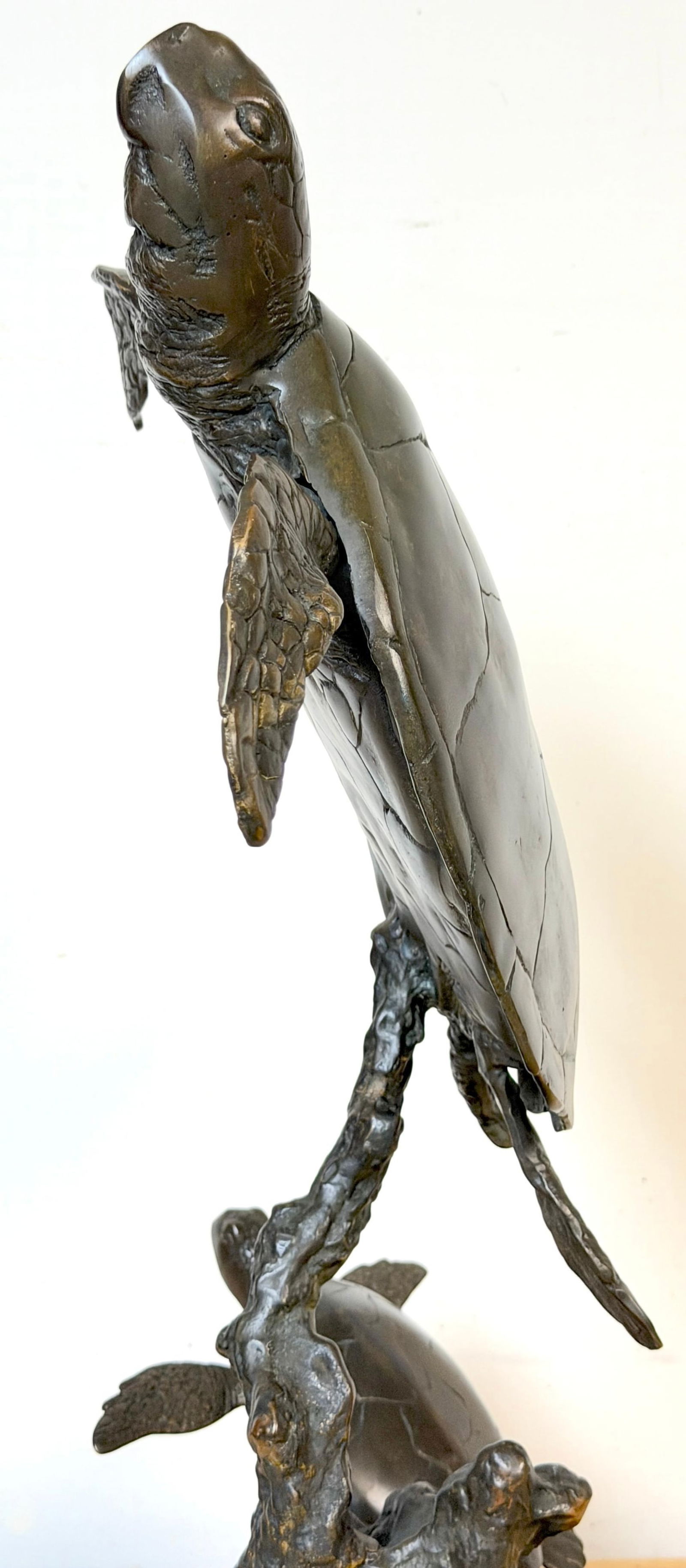 Monumental Bronze Sea Turtle Sculpture on Marble Base, Late 20th Century - 6