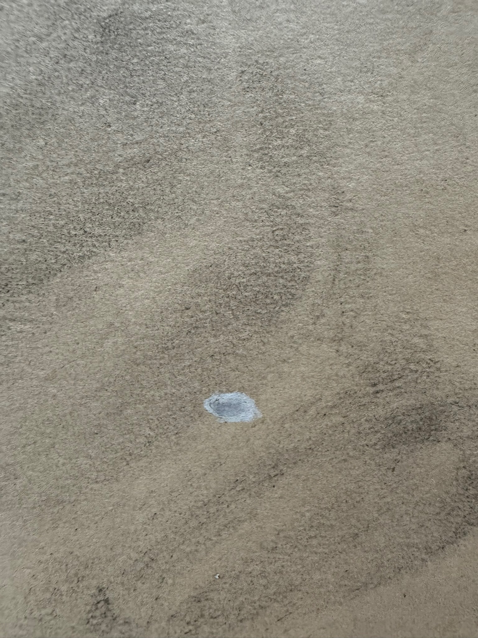 Mid 20th Century André Vertès Attributed Original Drawing Female Portrait Mixed Media on - 6