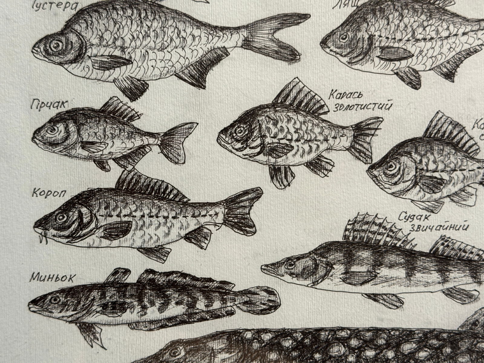 Oil painting with frame freshwater fish K. Leonid - 4