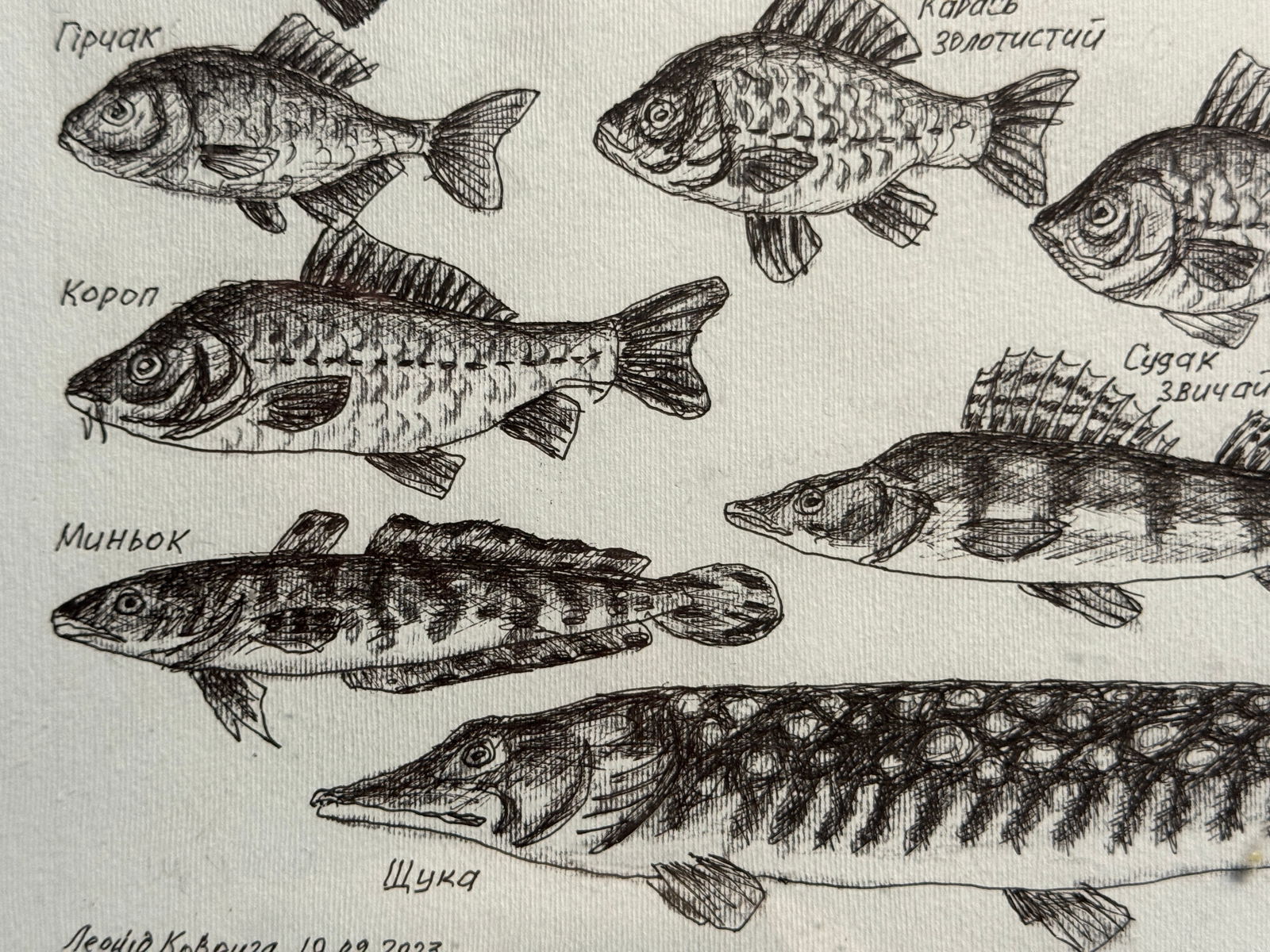 Oil painting with frame freshwater fish K. Leonid - 5