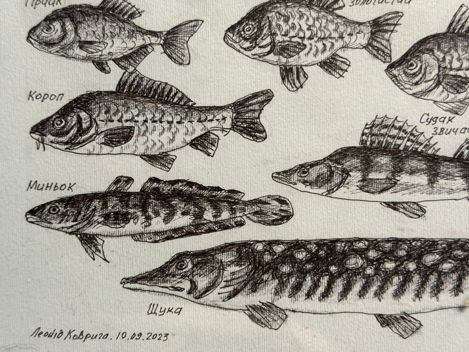 Oil painting with frame freshwater fish K. Leonid - 6