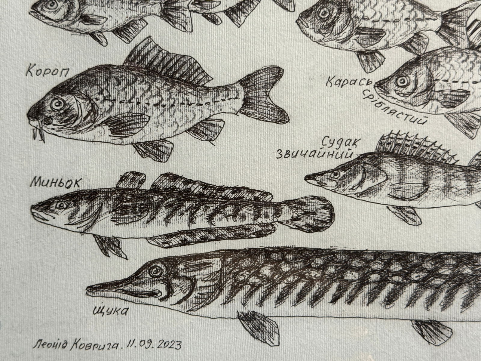 Oil painting with frame lots of freshwater fish K. Leonid - 7