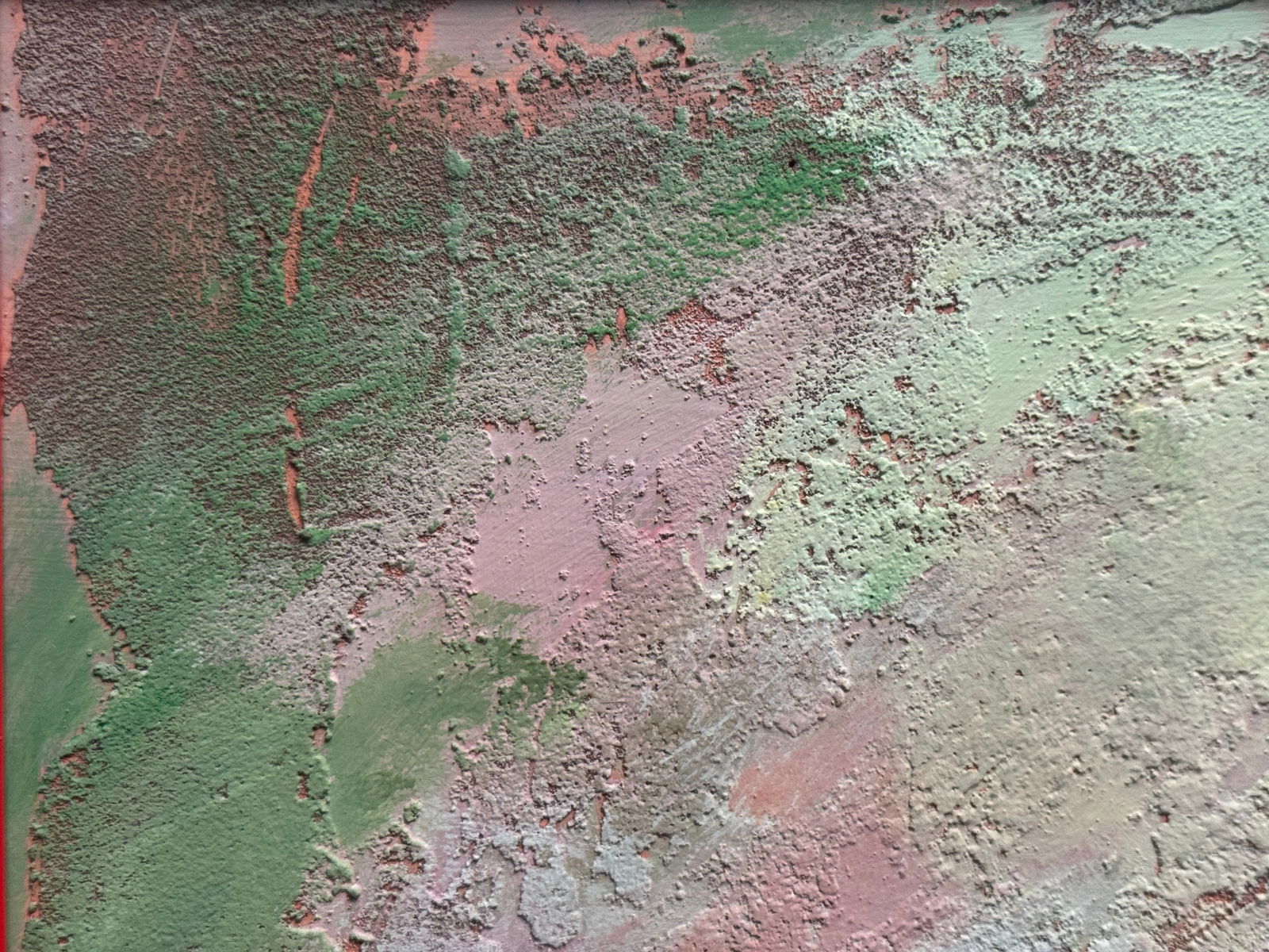 Acrylic painting with frame Fruit K. Leonid - 2