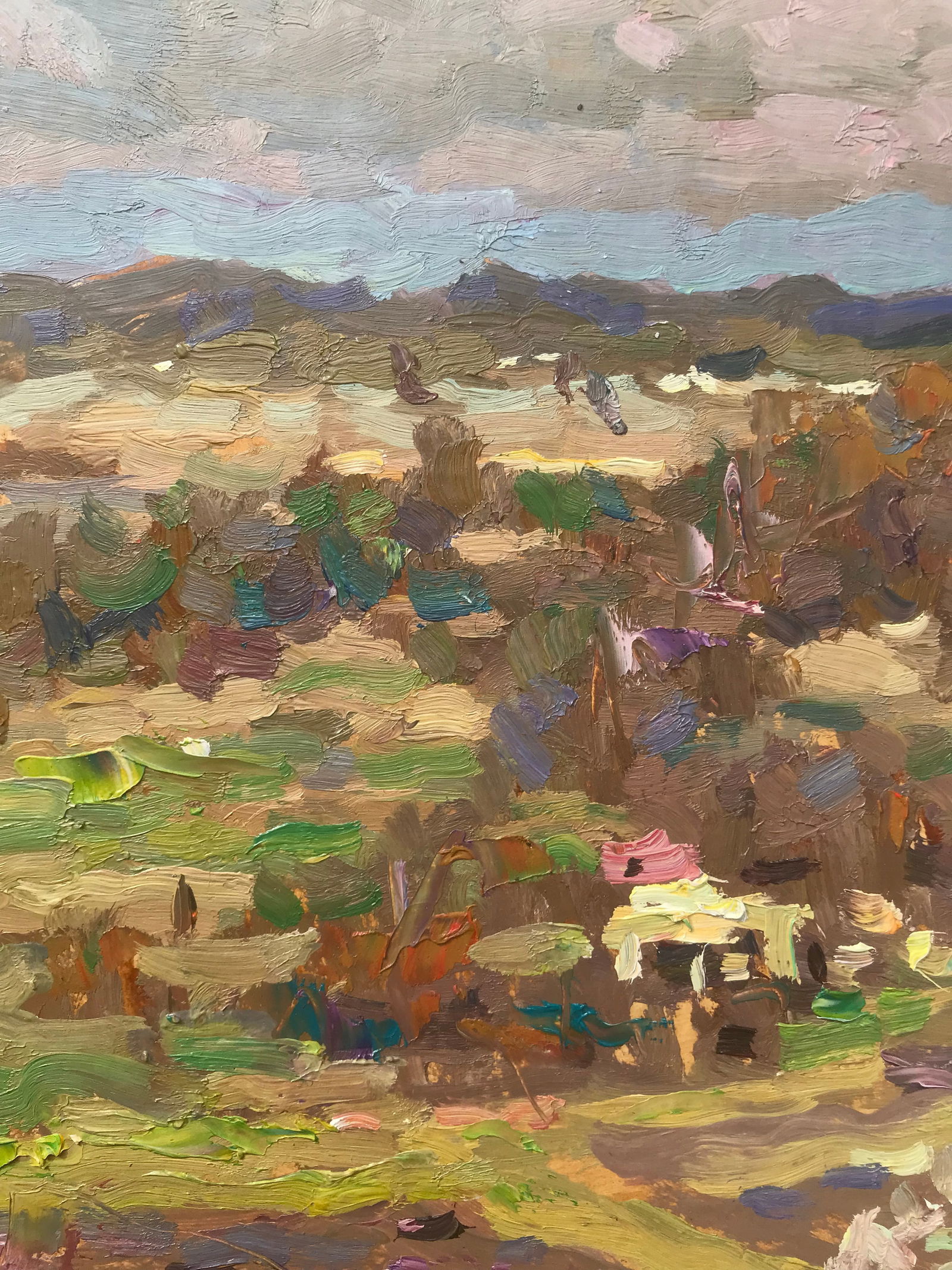 Oil painting Homeland Sergey Ivanovich Animov - 5