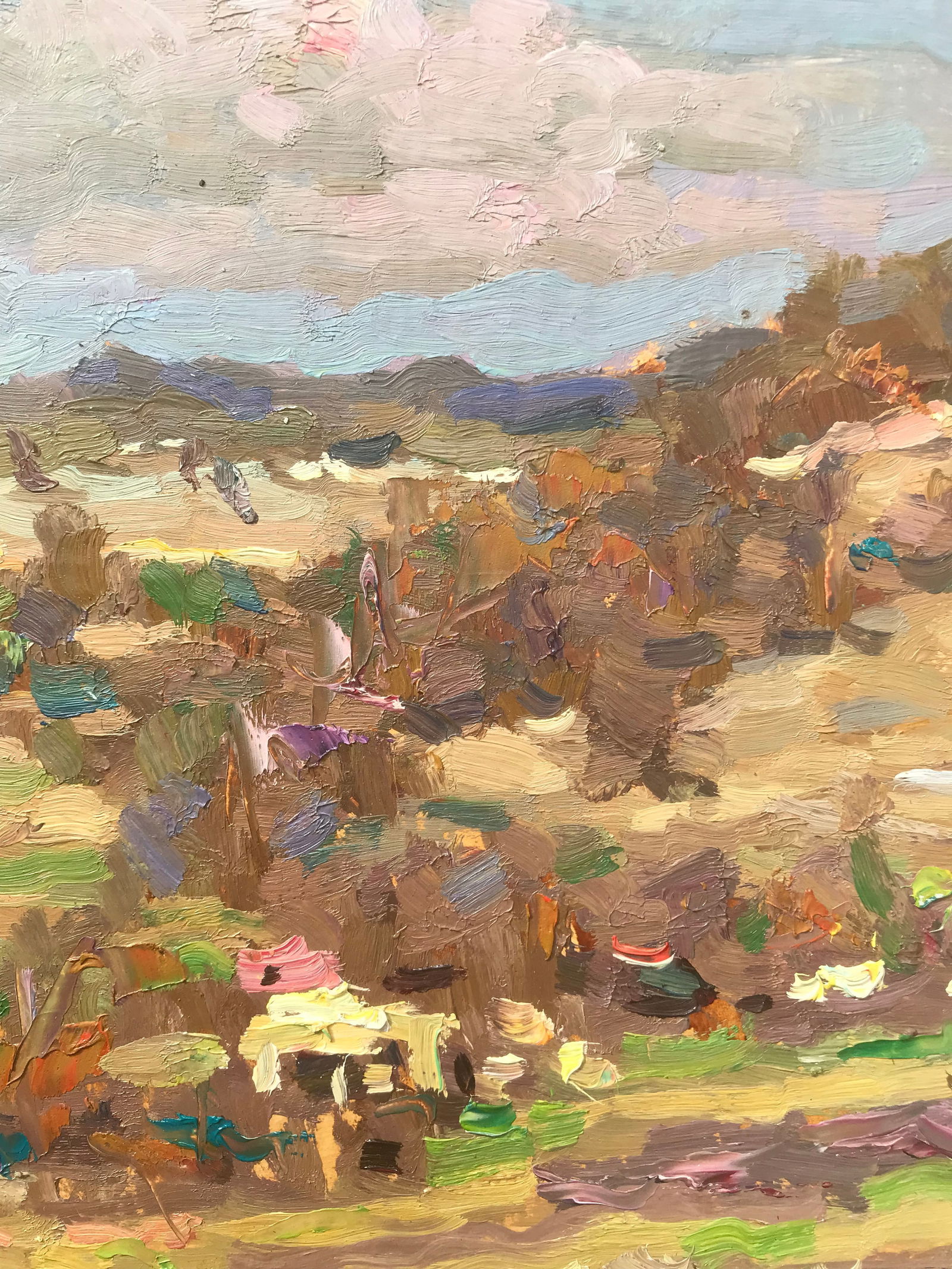 Oil painting Homeland Sergey Ivanovich Animov - 6