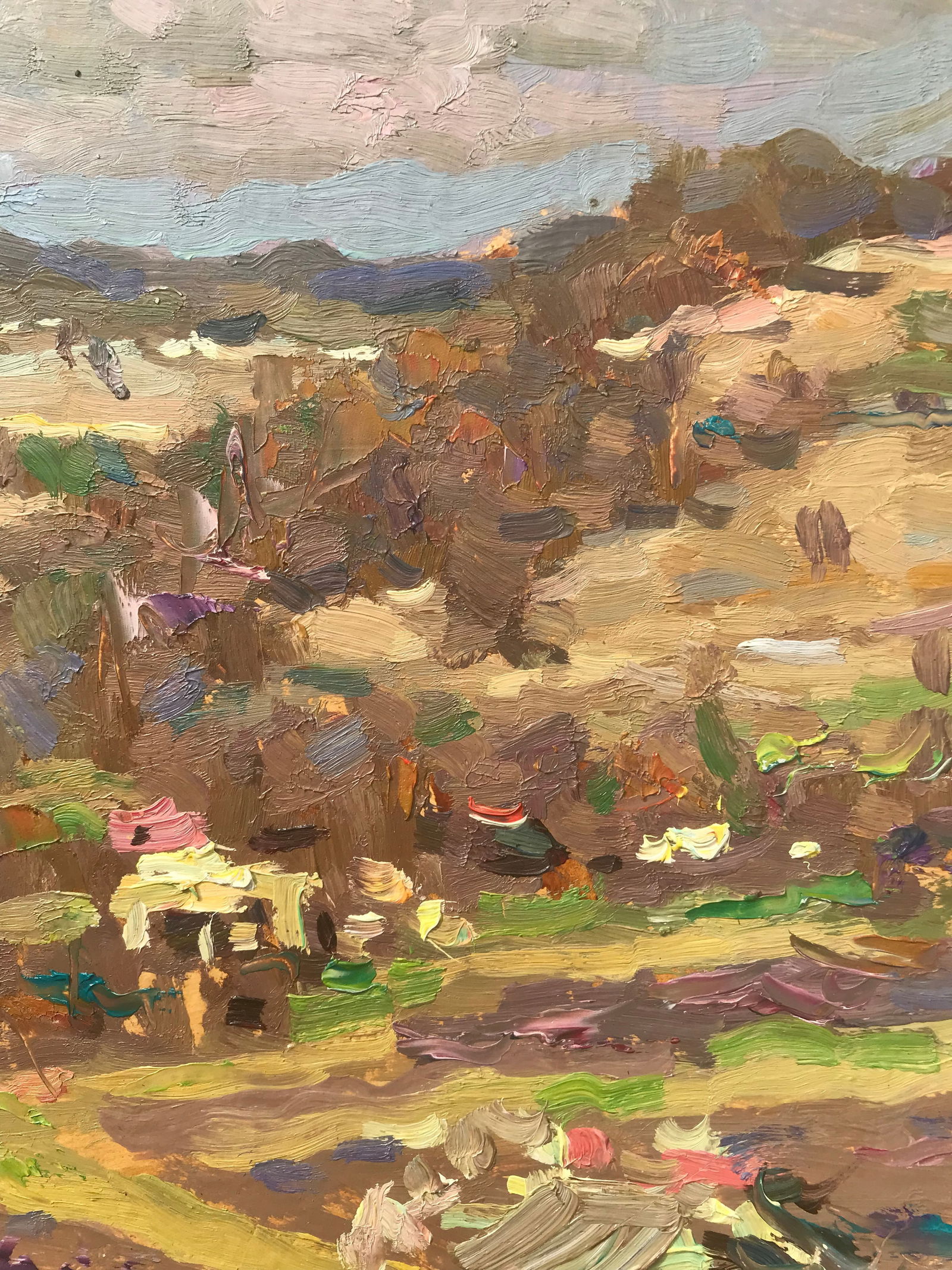 Oil painting Homeland Sergey Ivanovich Animov - 7