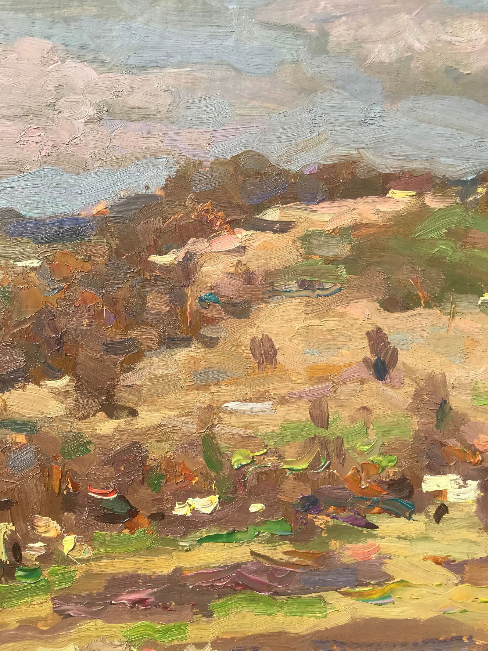 Oil painting Homeland Sergey Ivanovich Animov - 8