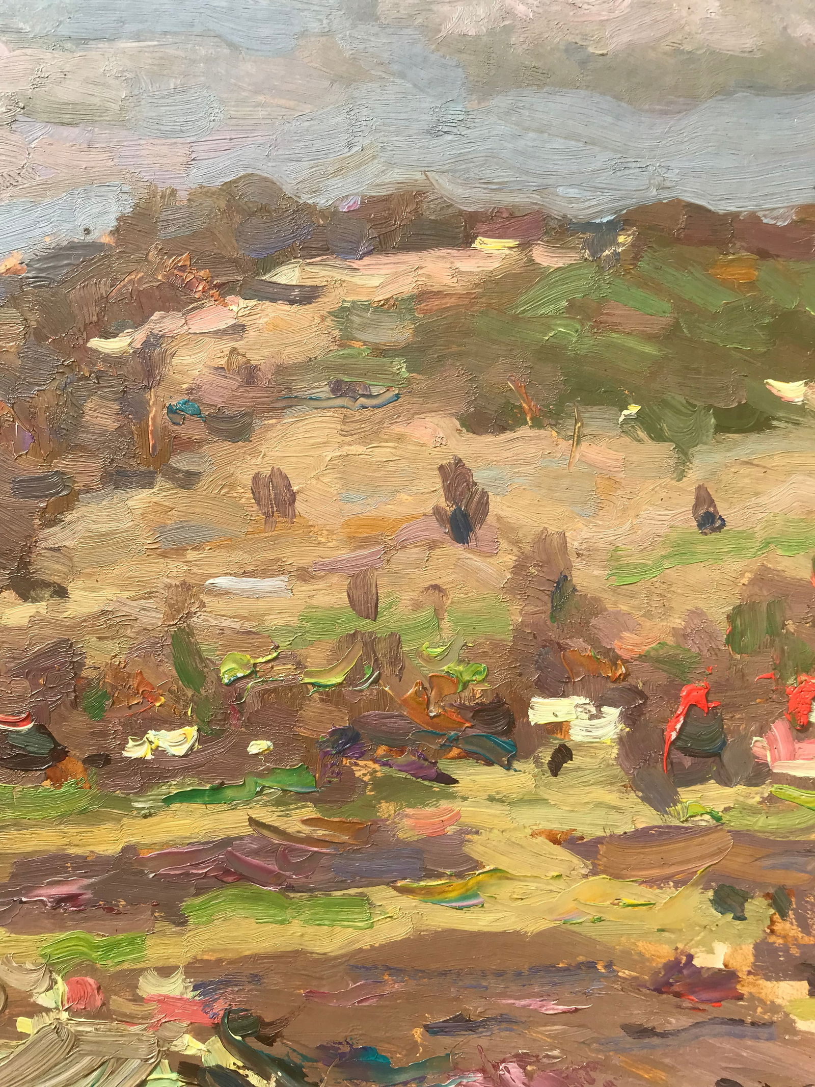 Oil painting Homeland Sergey Ivanovich Animov - 9