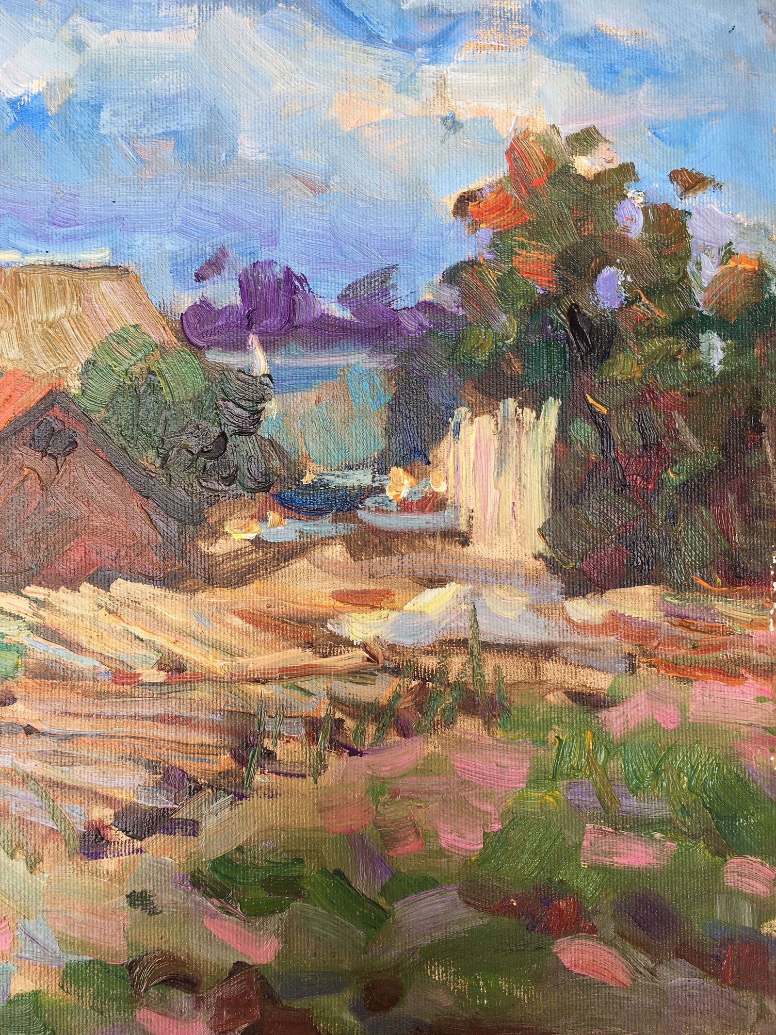 Oil painting Village yard Sergey Ivanovich Animov - 10