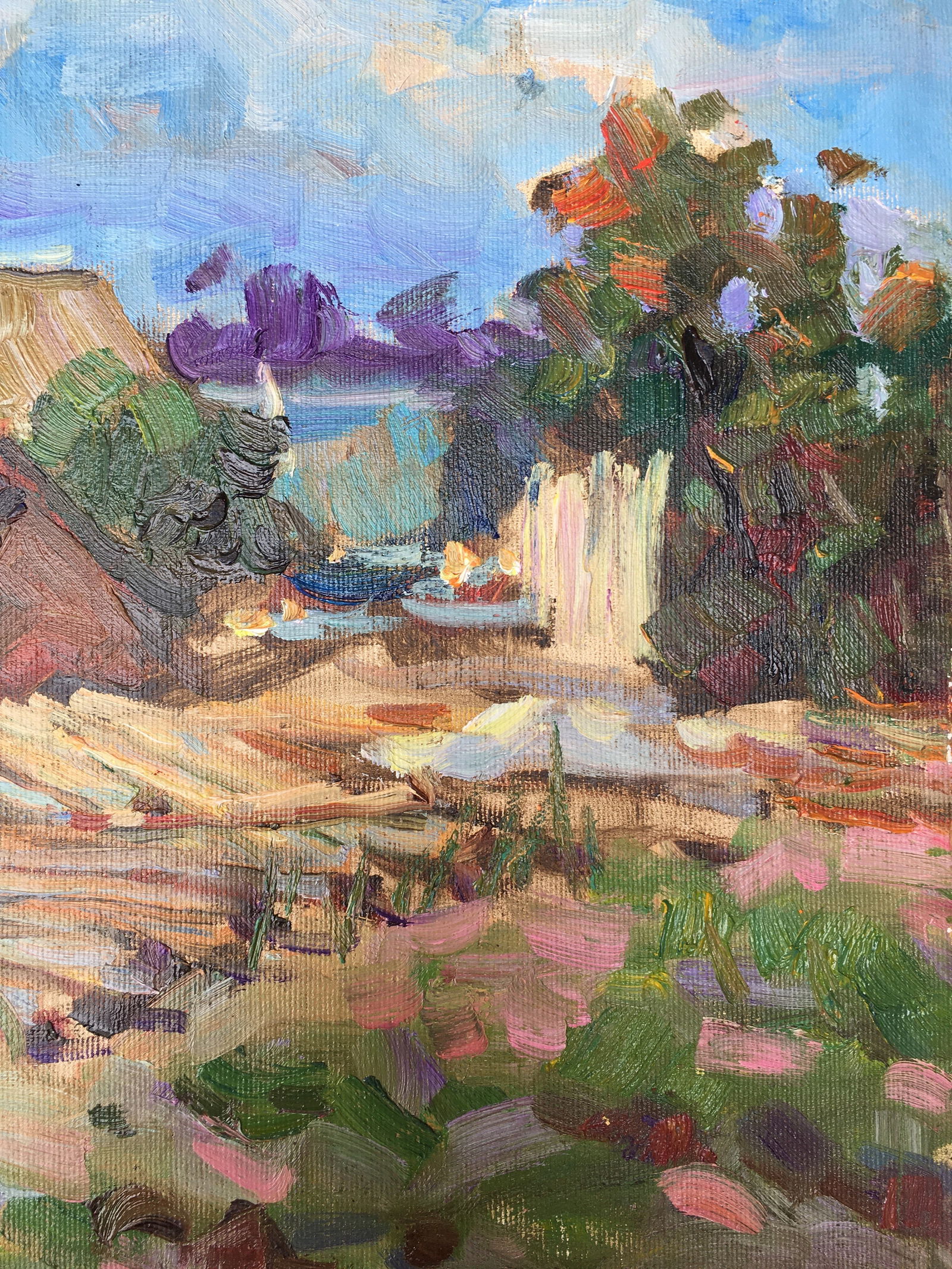 Oil painting Village yard Sergey Ivanovich Animov - 11