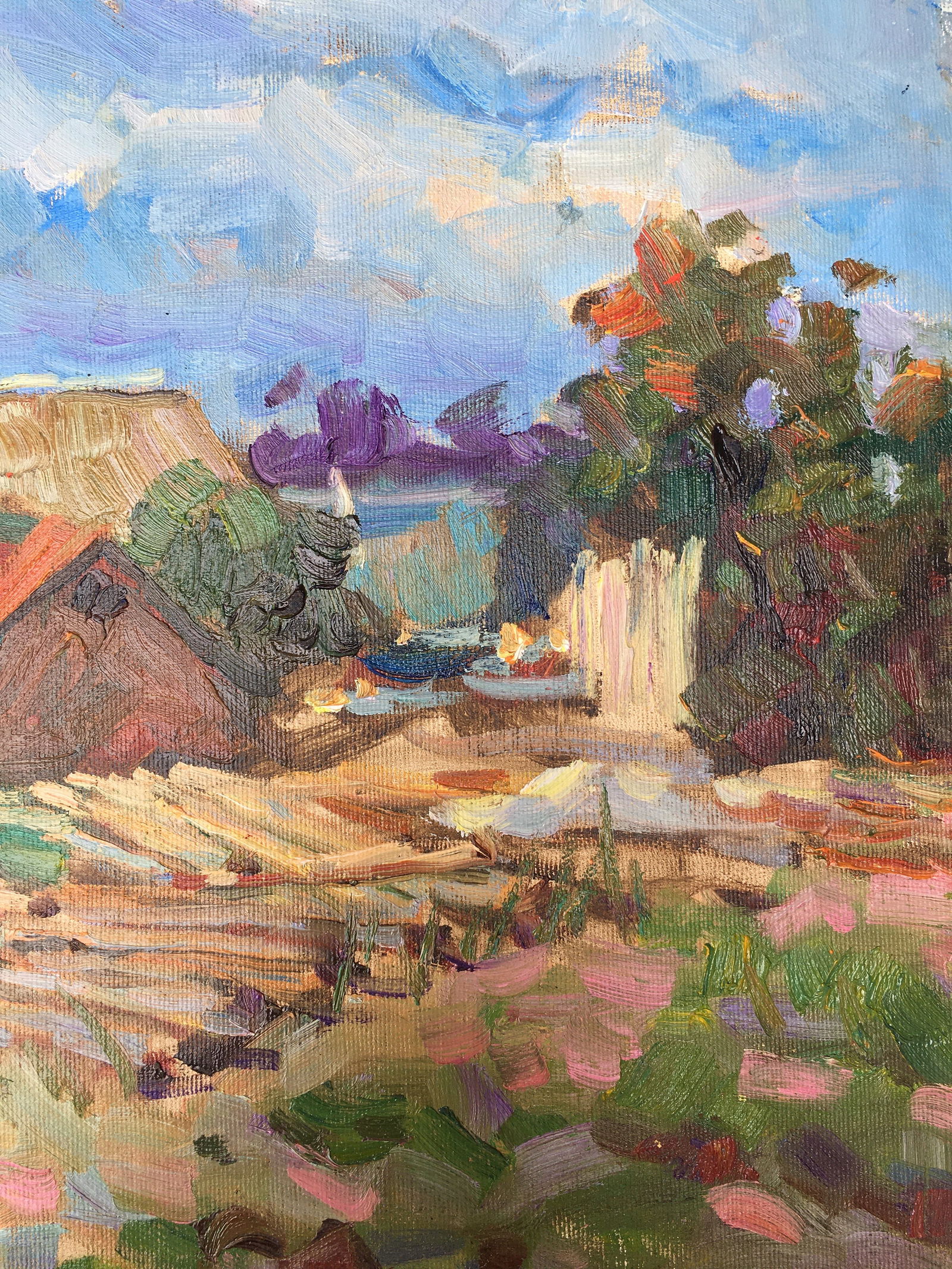 Oil painting Village yard Sergey Ivanovich Animov - 9