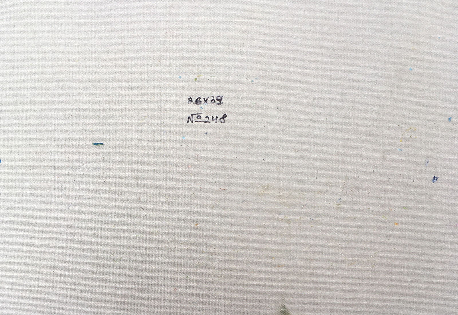 Oil painting In a rural yard Sergey Ivanovich Animov - 2