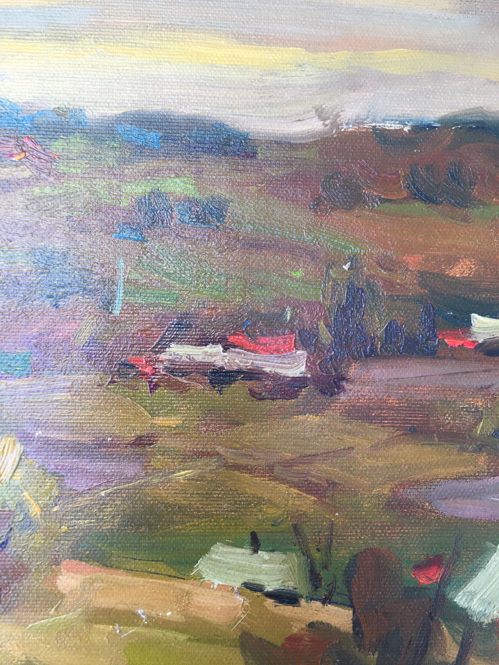 Oil painting Rural landscape Sergey Ivanovich Animov - 10