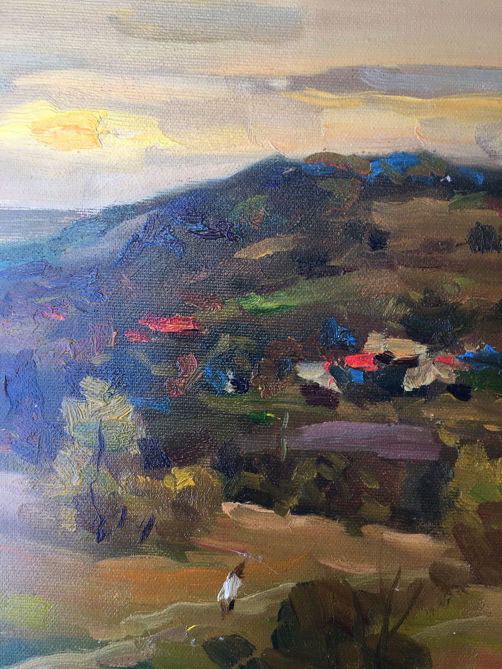 Oil painting Rural landscape Sergey Ivanovich Animov - 3