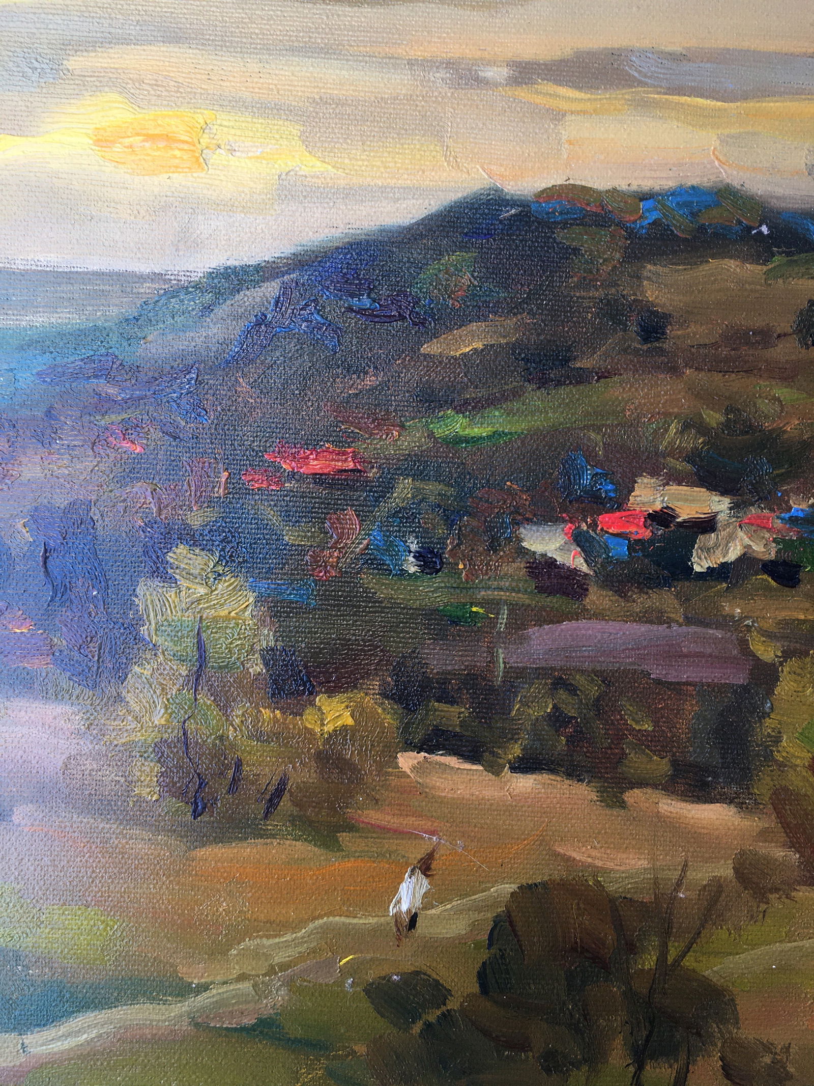 Oil painting Rural landscape Sergey Ivanovich Animov - 4