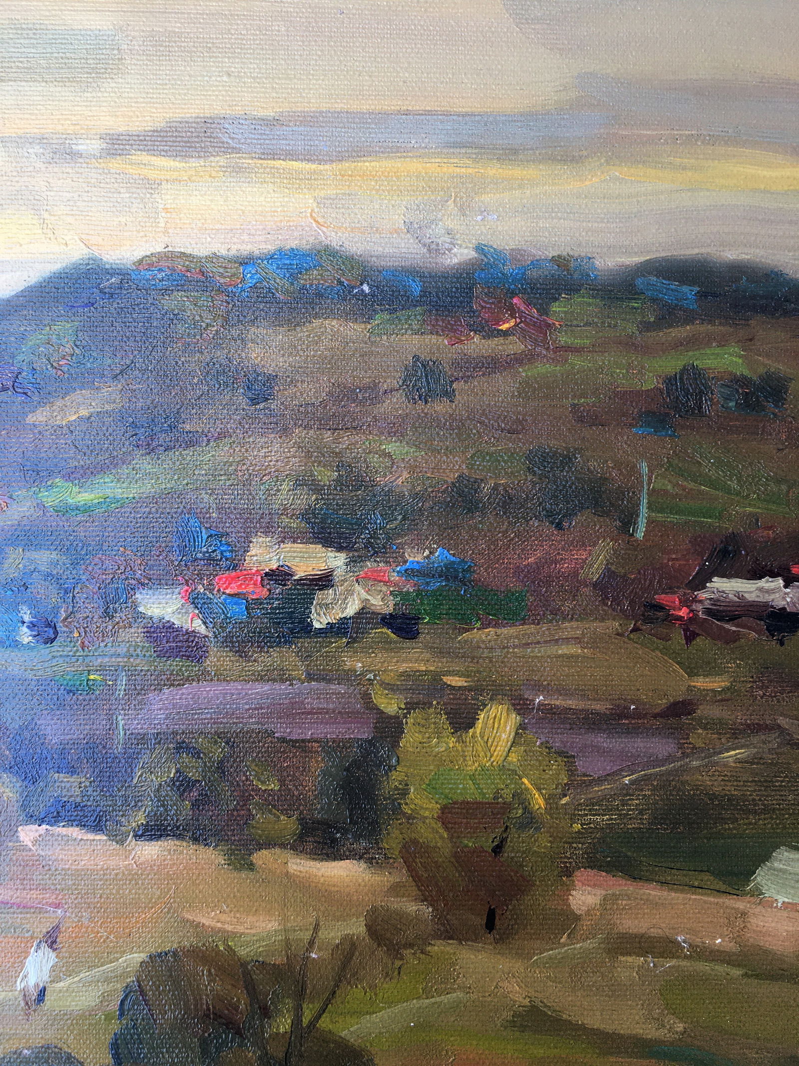 Oil painting Rural landscape Sergey Ivanovich Animov - 5