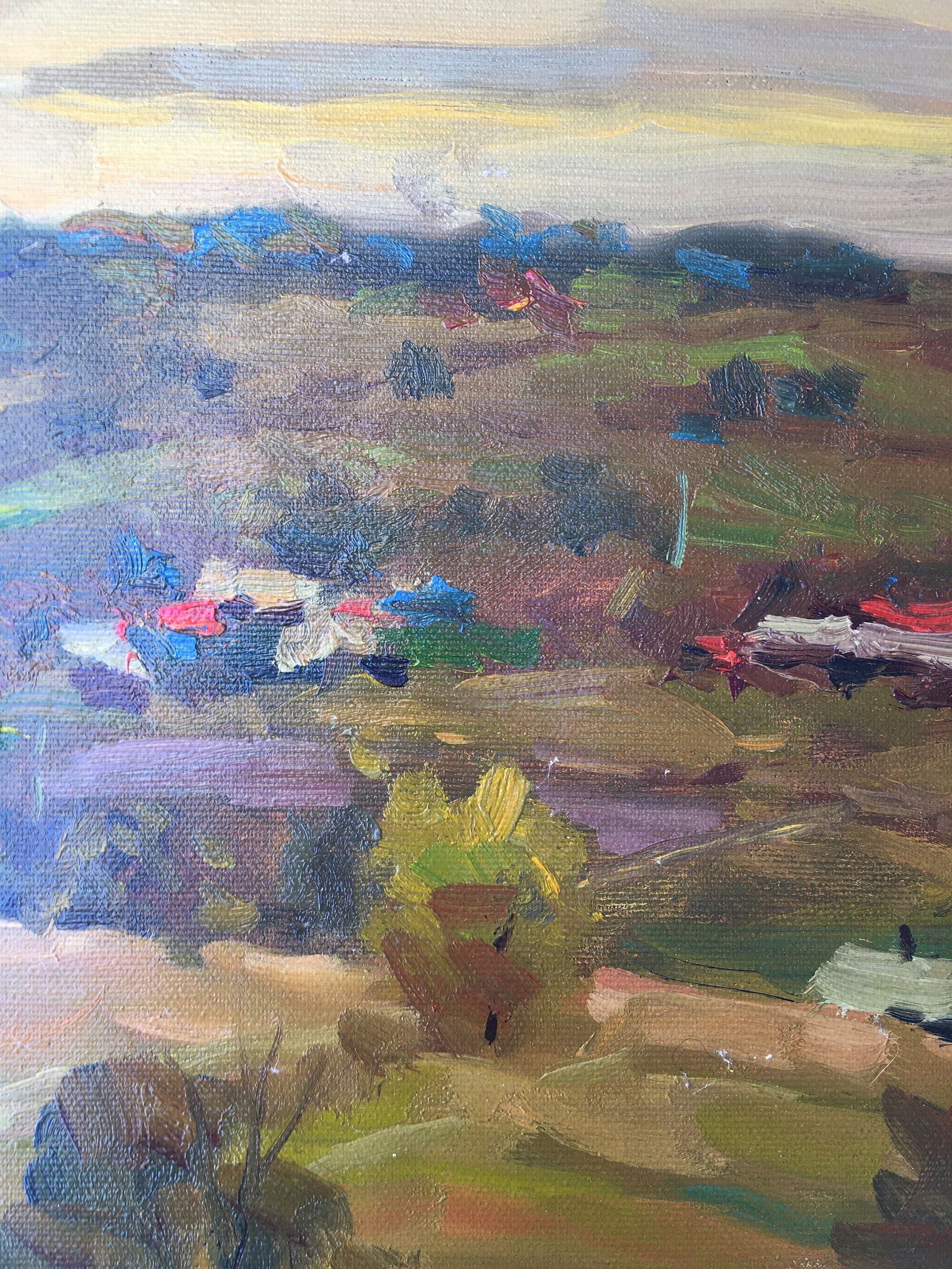 Oil painting Rural landscape Sergey Ivanovich Animov - 6