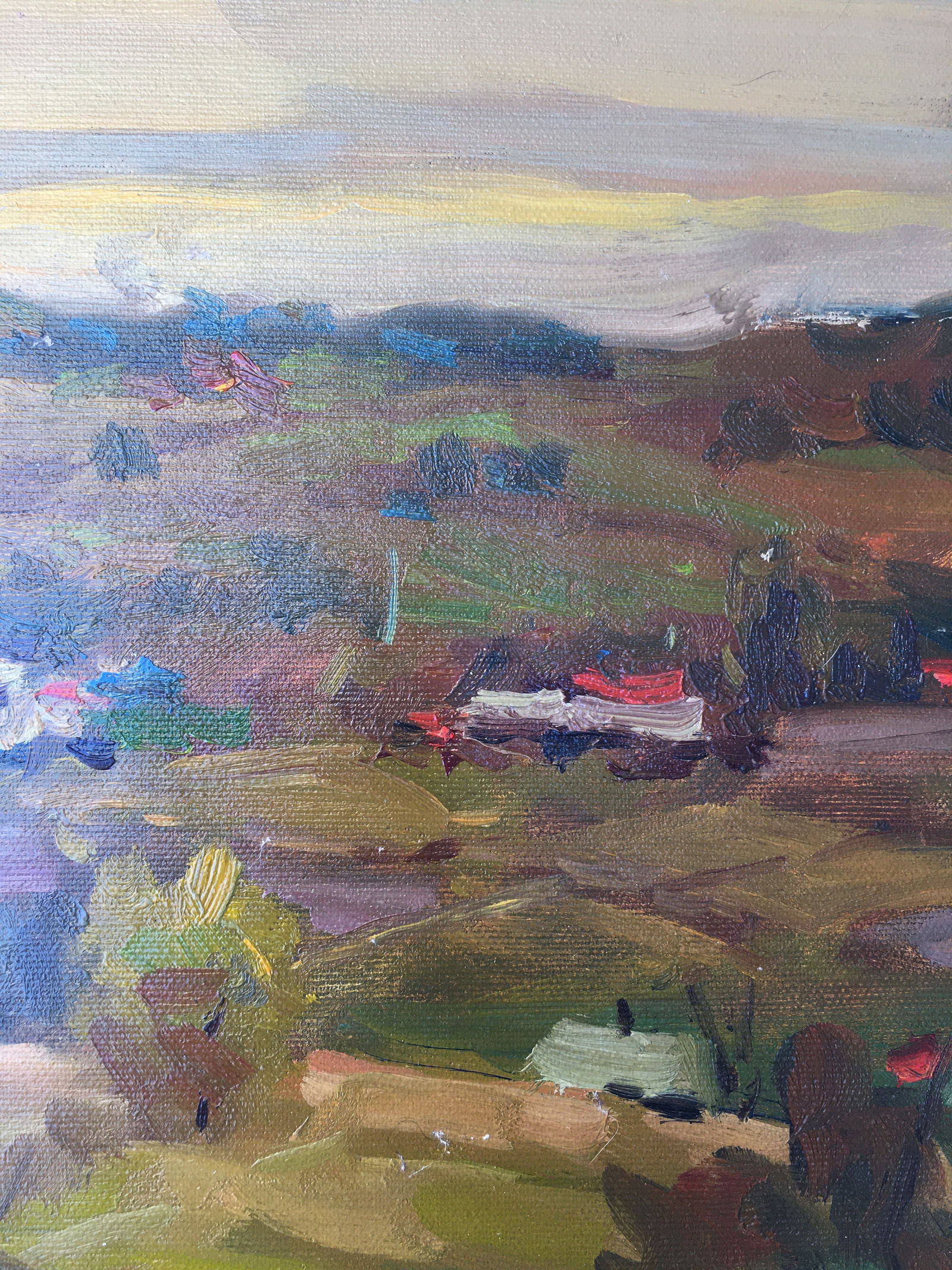 Oil painting Rural landscape Sergey Ivanovich Animov - 7