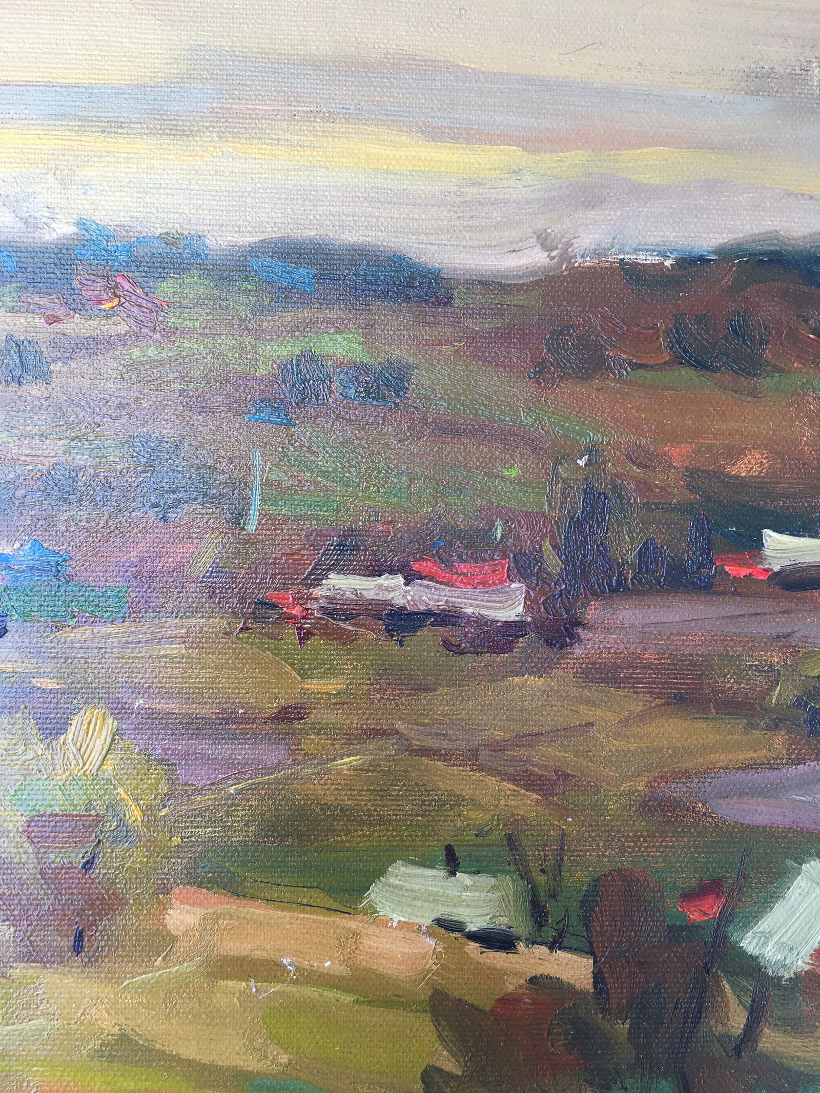 Oil painting Rural landscape Sergey Ivanovich Animov - 8