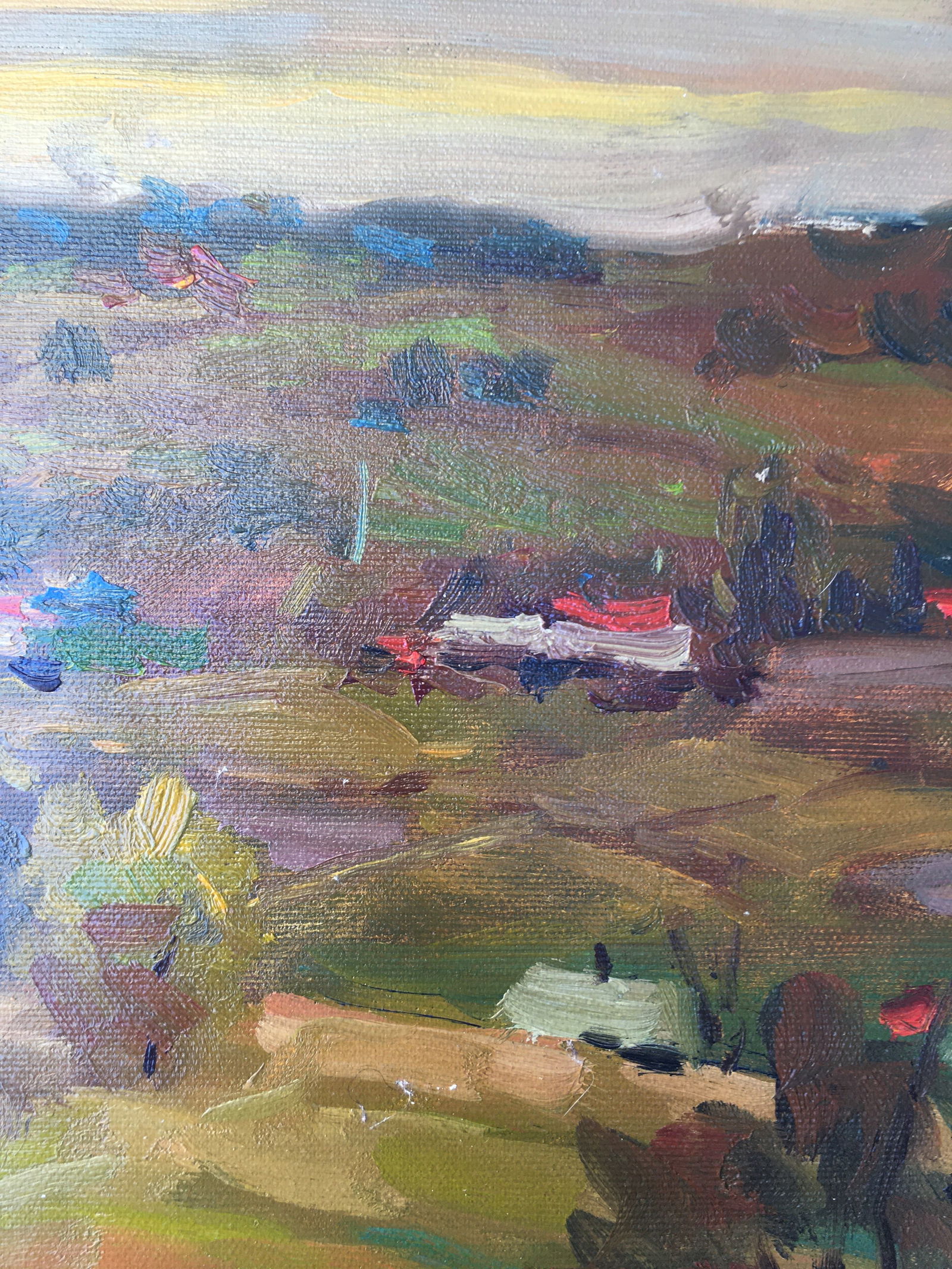 Oil painting Rural landscape Sergey Ivanovich Animov - 9