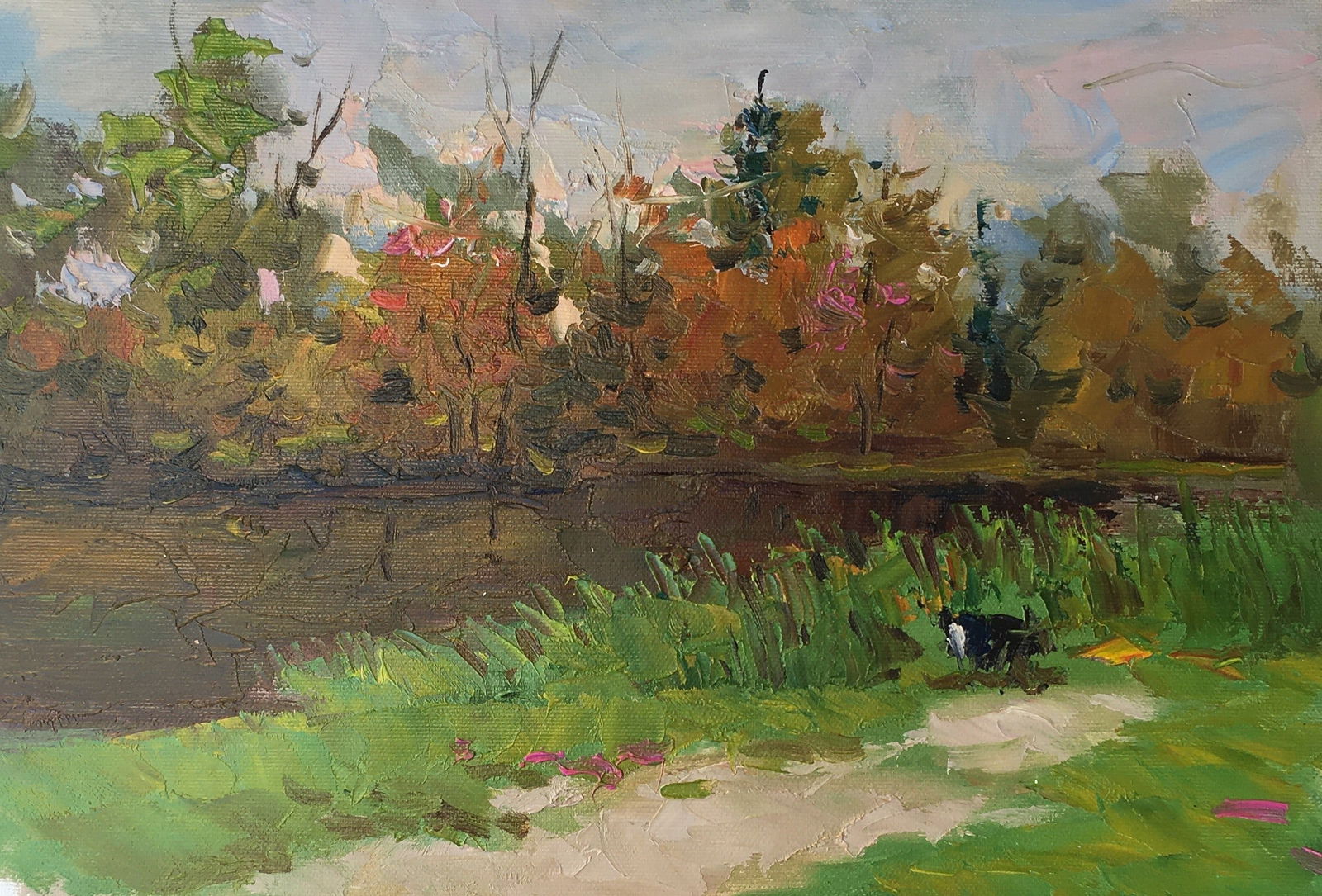 Oil painting Autumn over the river Sergey Ivanovich Animov: Title: Oil painting Autumn over the river Sergey Ivanovich Animov Description: 265DDD Painter: Sergey Ivanovich Animov Size: 25x37 cm/9,84x14,56 inches Components: canvas, oil Original painting from