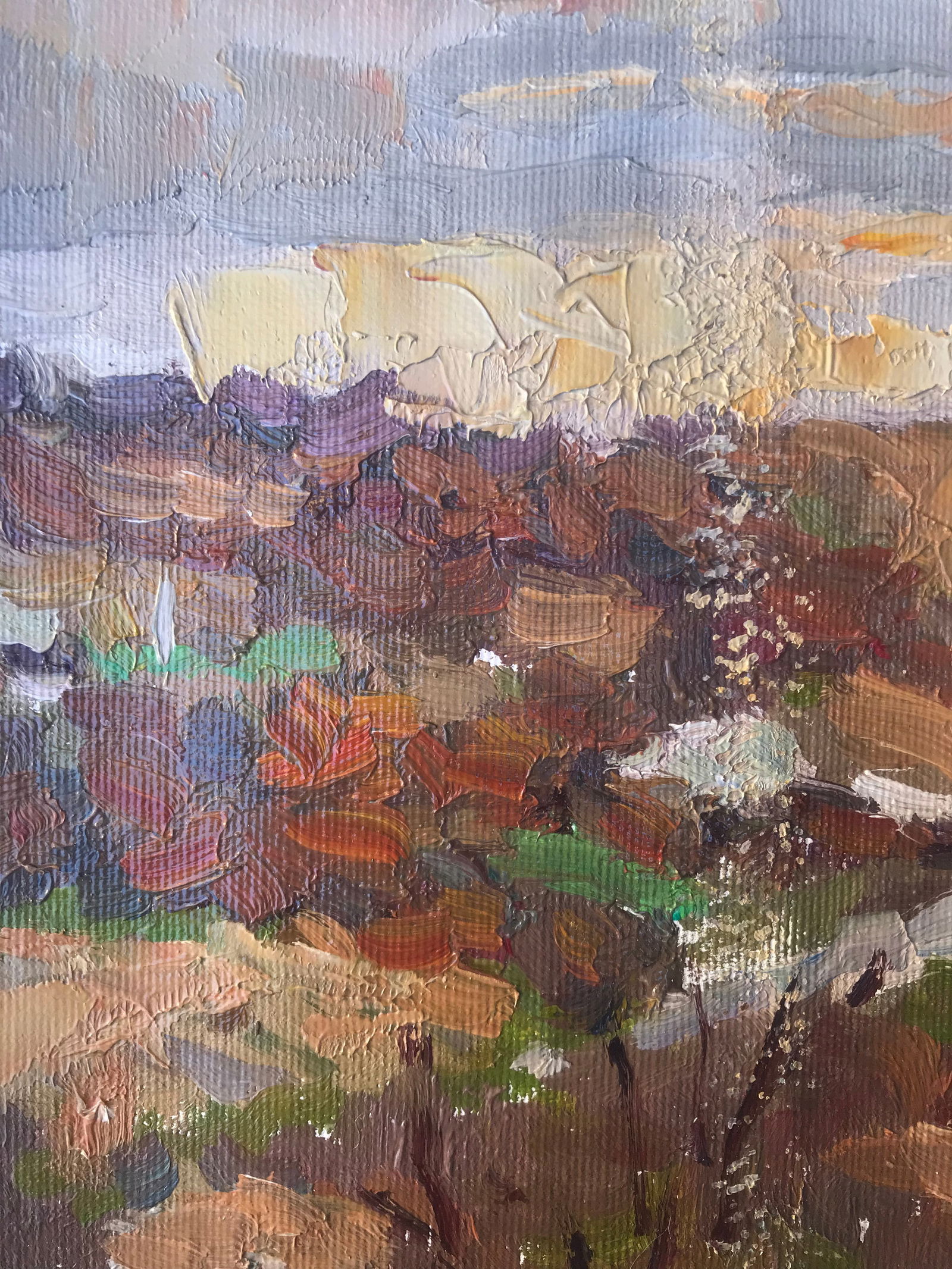 Oil painting Sunset Sergey Ivanovich Animov - 3