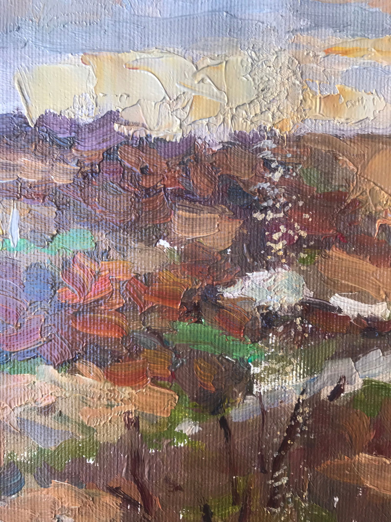 Oil painting Sunset Sergey Ivanovich Animov - 4