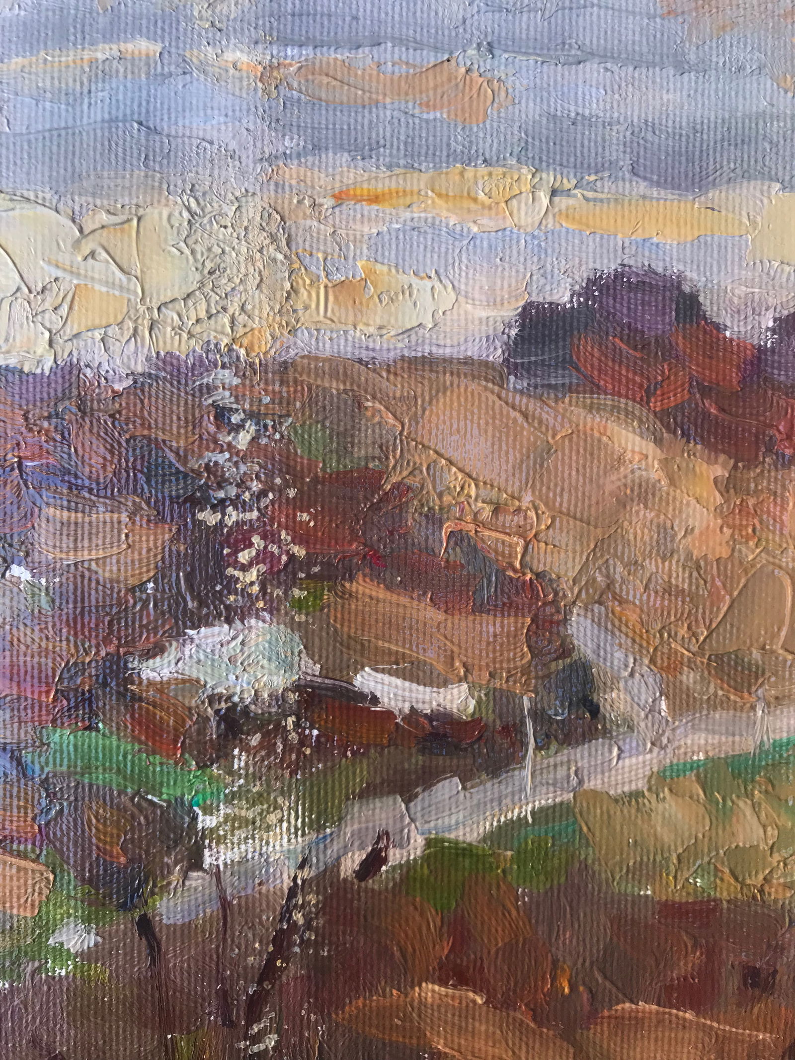 Oil painting Sunset Sergey Ivanovich Animov - 5