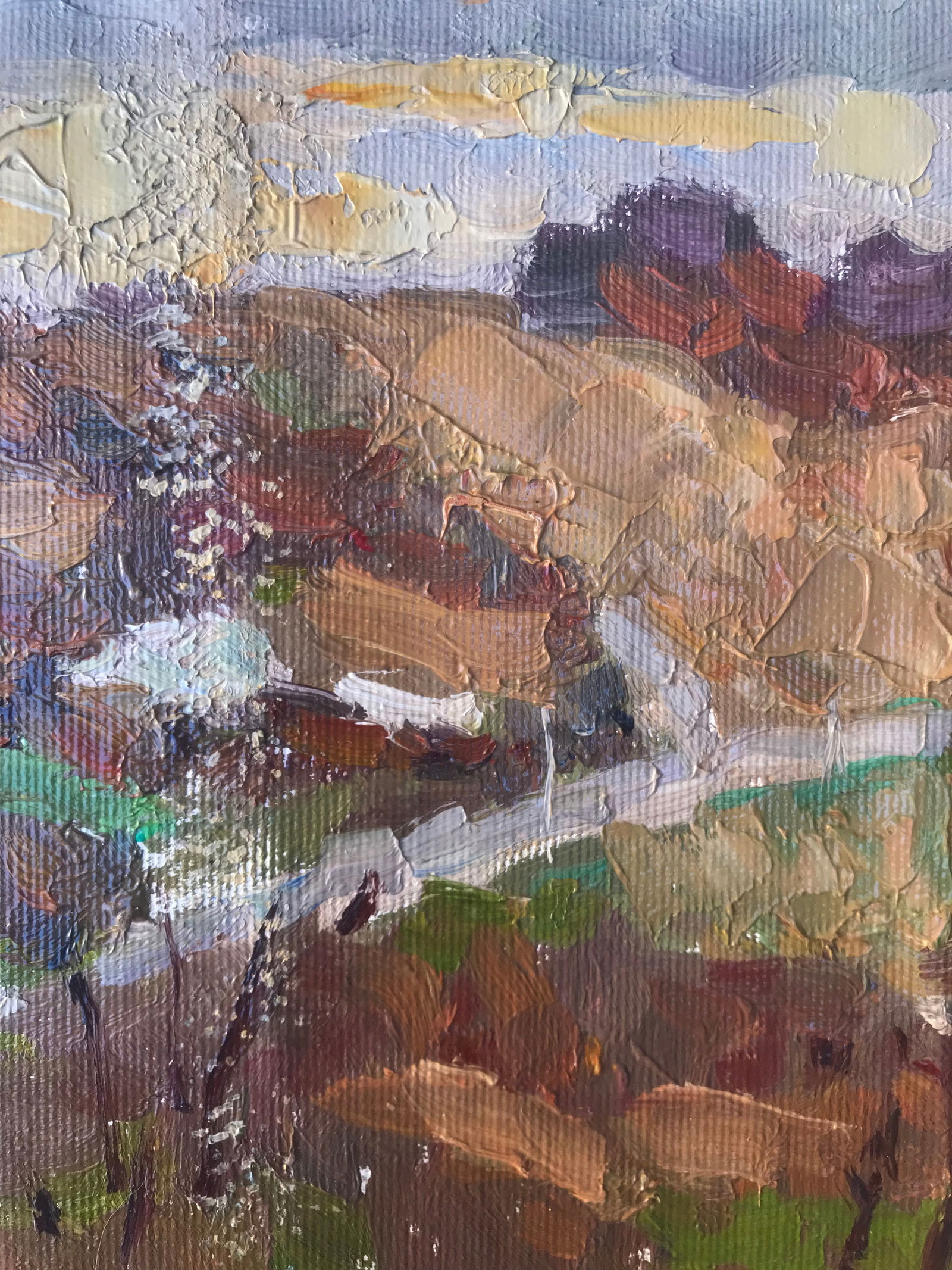 Oil painting Sunset Sergey Ivanovich Animov - 6