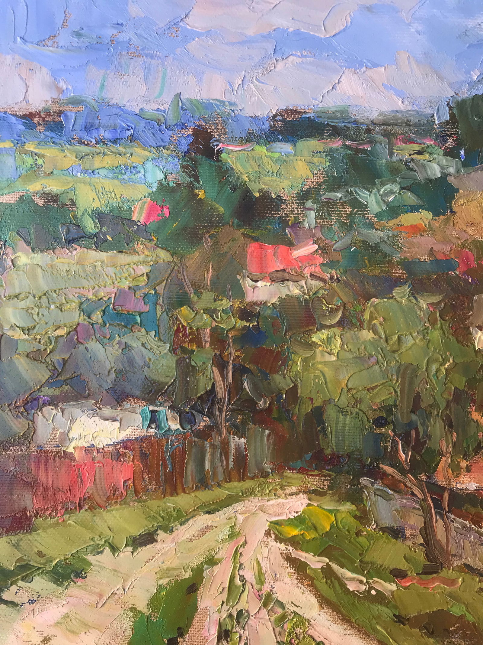 Oil painting Summer in the village Sergey Ivanovich Animov - 4