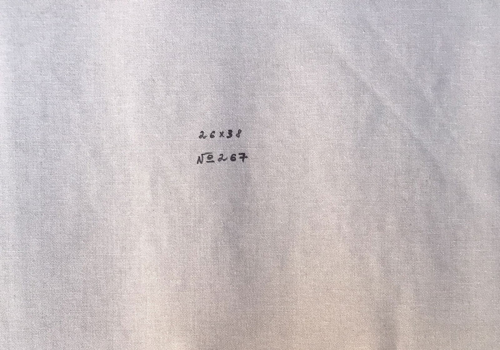 Oil painting Familiar street Sergey Ivanovich Animov - 3