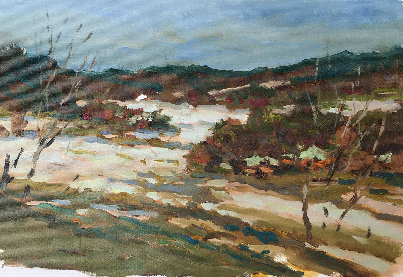 Oil painting Early spring Sergey Ivanovich Animov: Title: Oil painting Early spring Sergey Ivanovich Animov Description: 282DDD Painter: Sergey Ivanovich Animov Size: 25x38 cm/9,84x14,96 inches Components: canvas, oil Original painting from our