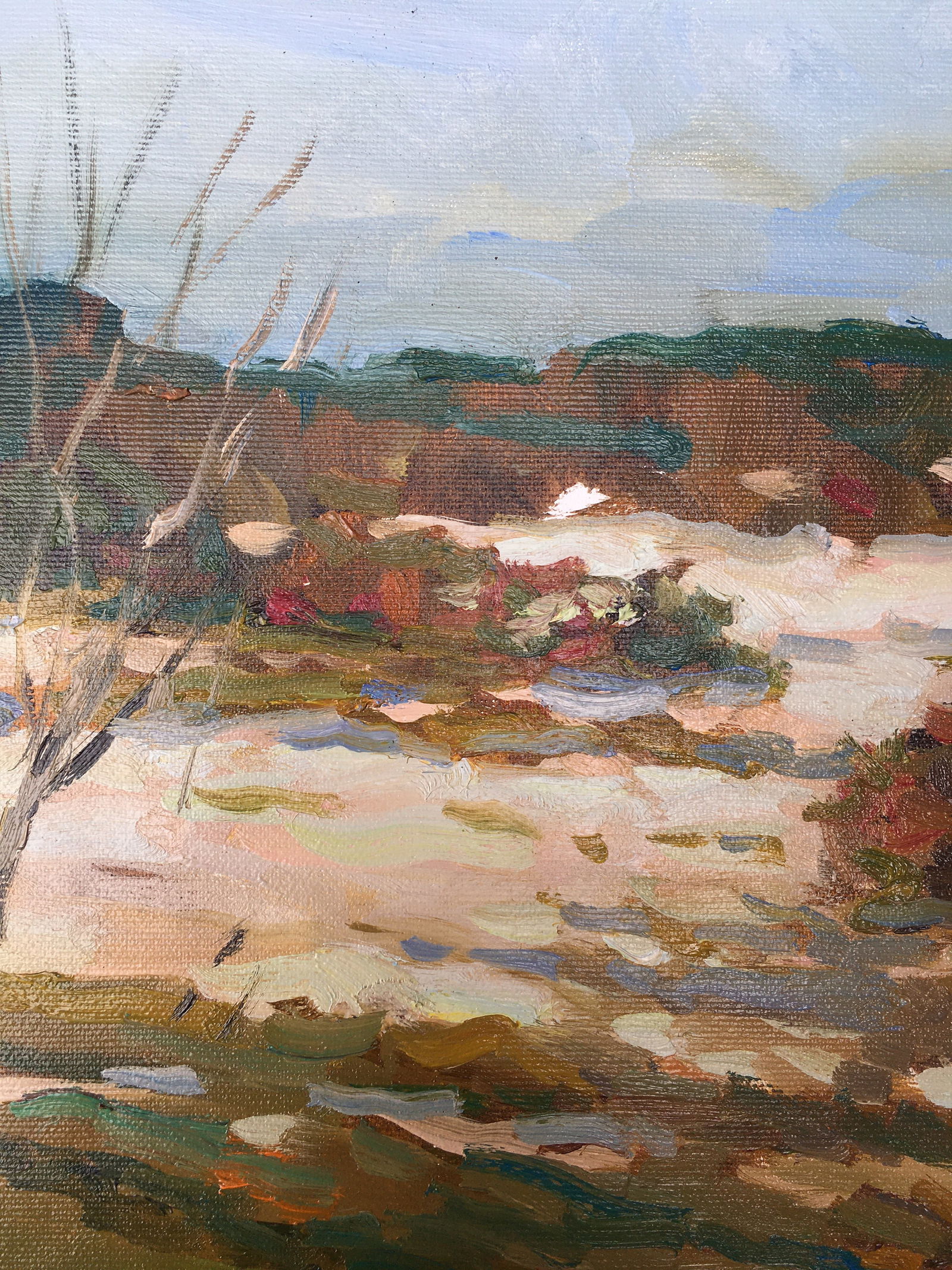 Oil painting Early spring Sergey Ivanovich Animov - 3