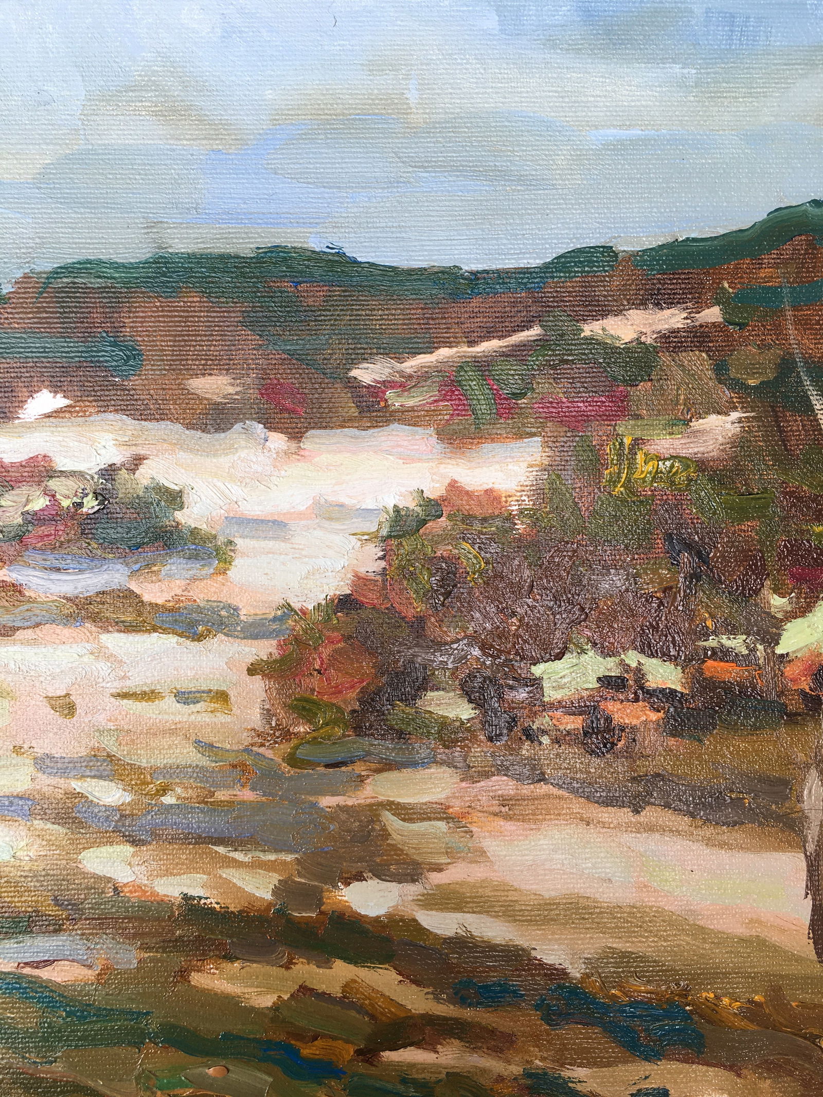 Oil painting Early spring Sergey Ivanovich Animov - 5