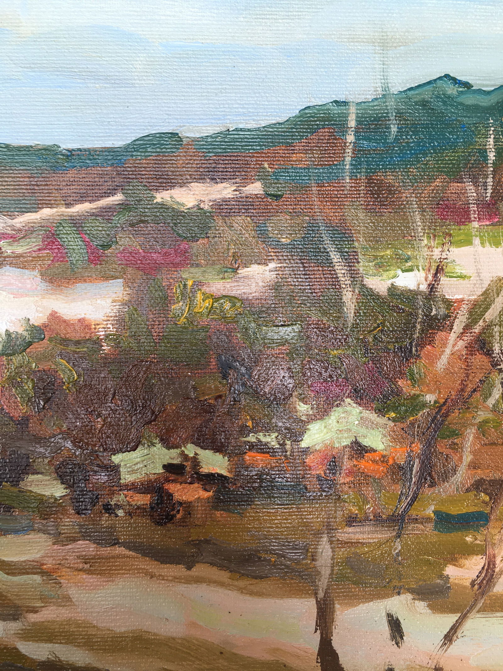 Oil painting Early spring Sergey Ivanovich Animov - 7