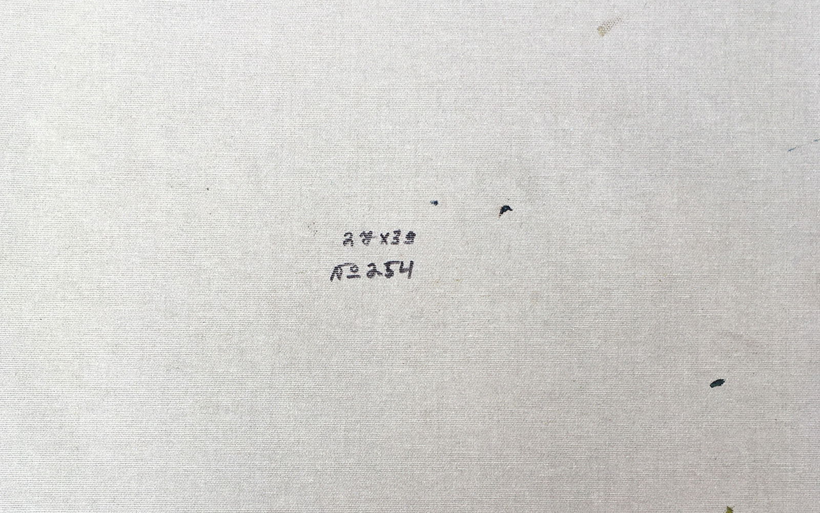 Oil painting Summer vegetable gardens Sergey Ivanovich Animov - 2