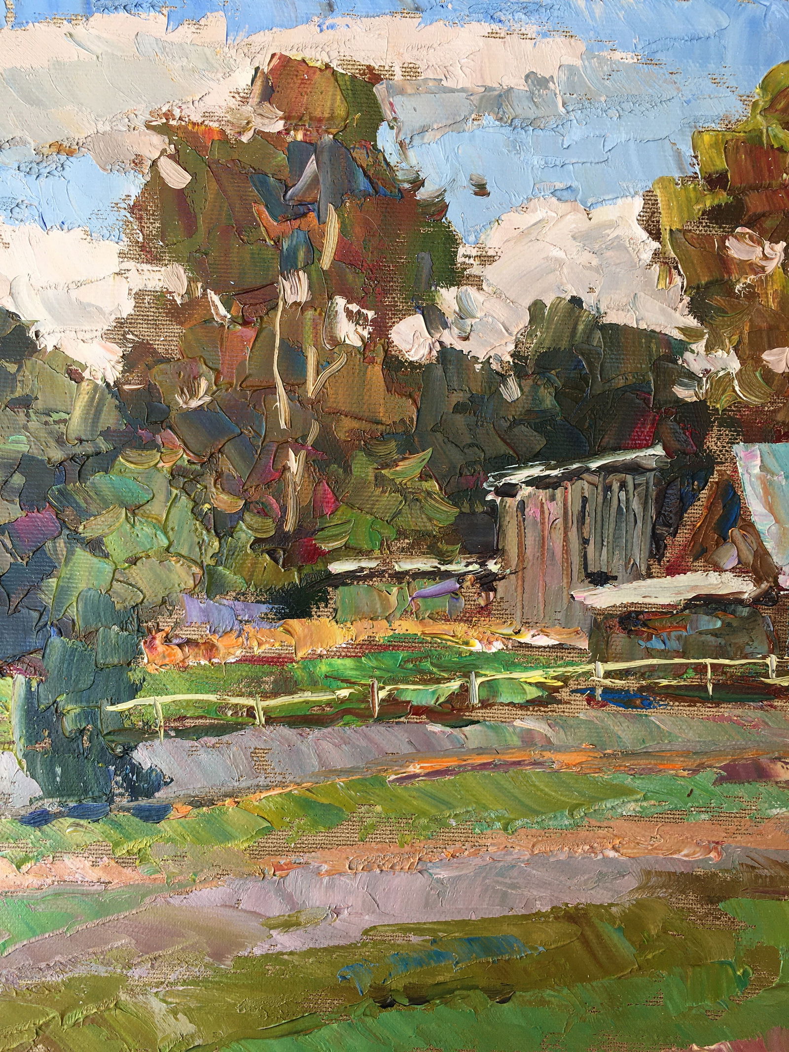 Oil painting Summer vegetable gardens Sergey Ivanovich Animov - 3