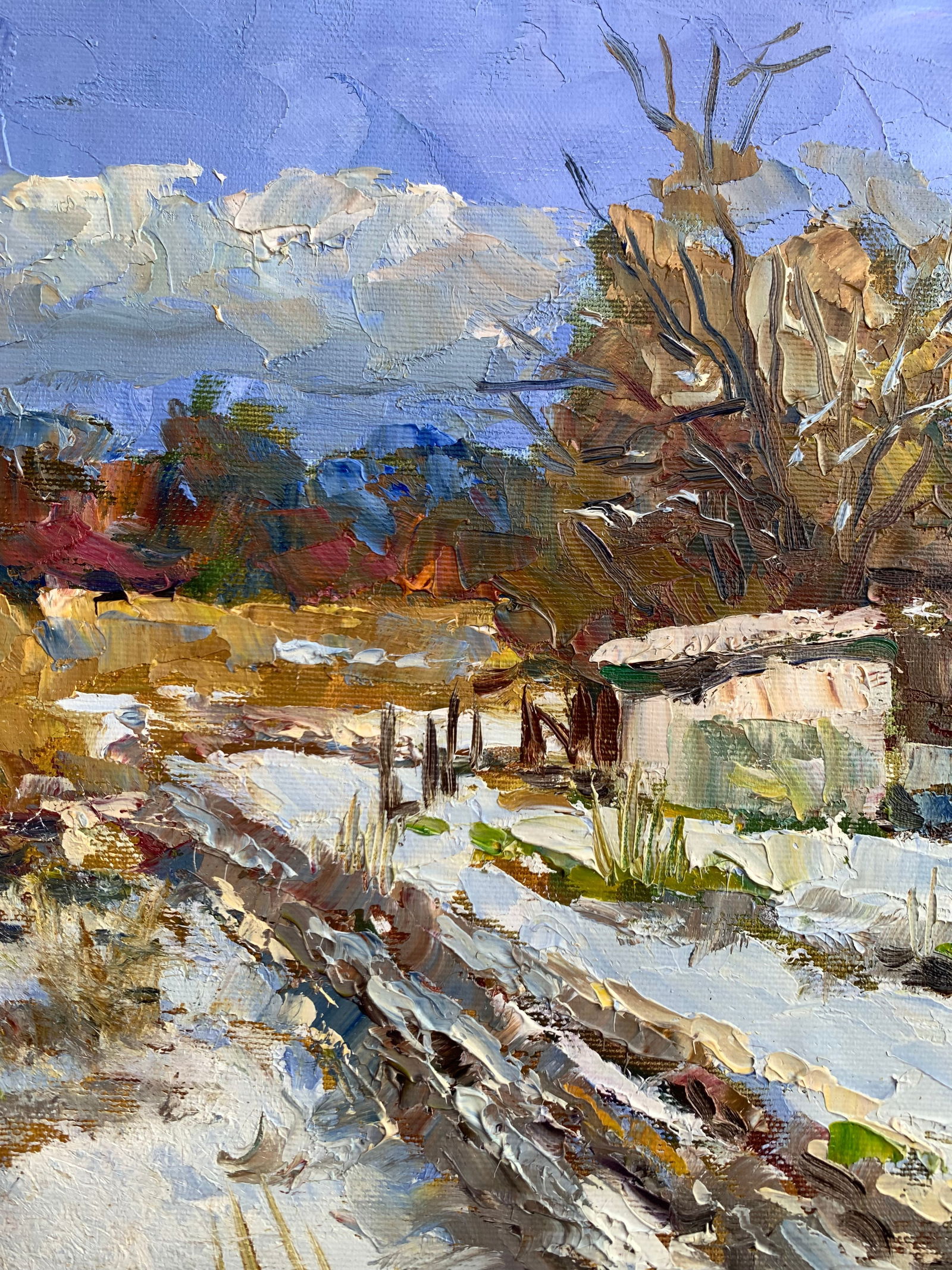 Oil painting Behind the yard Sergey Ivanovich Animov - 3