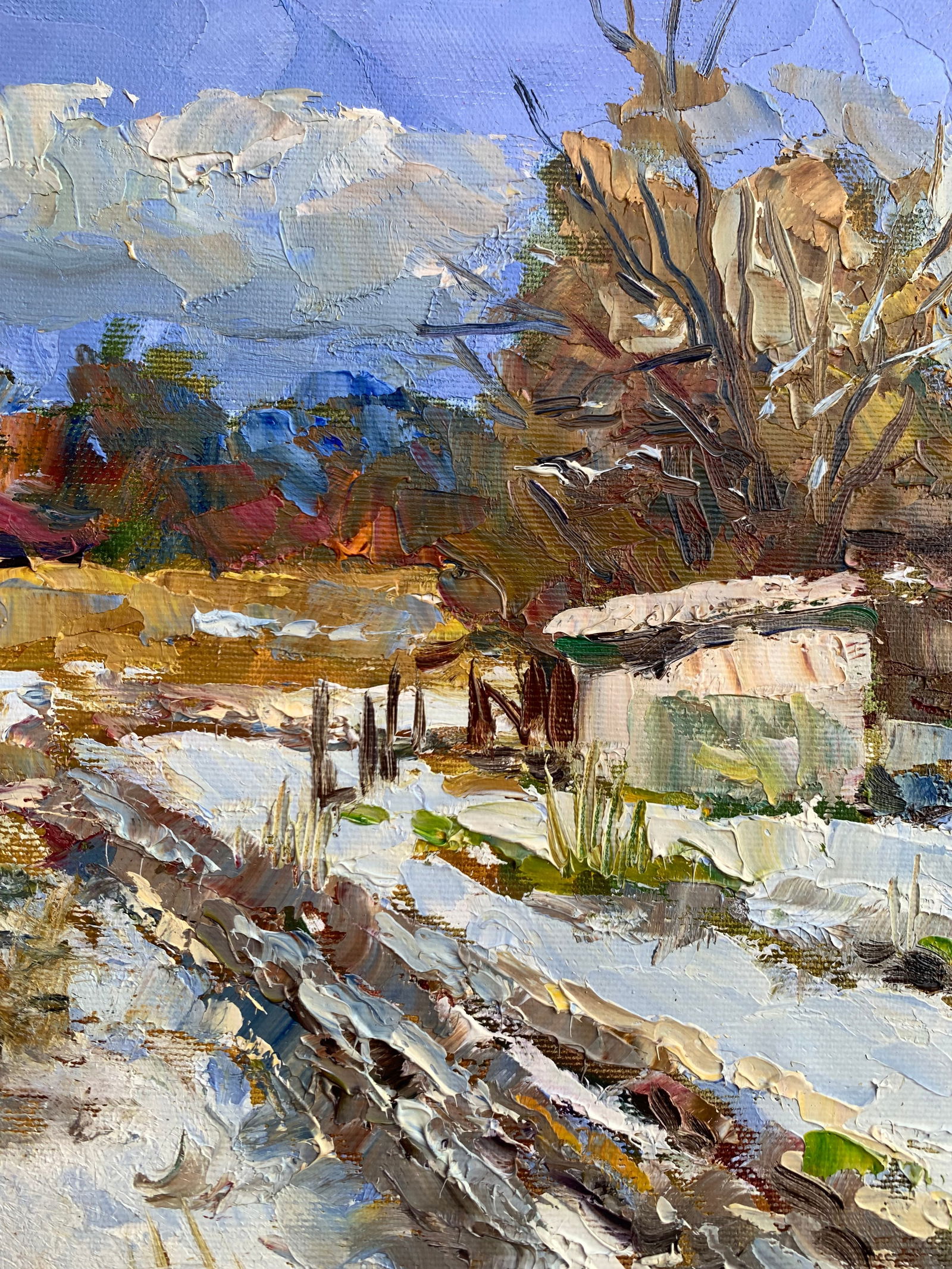 Oil painting Behind the yard Sergey Ivanovich Animov - 4