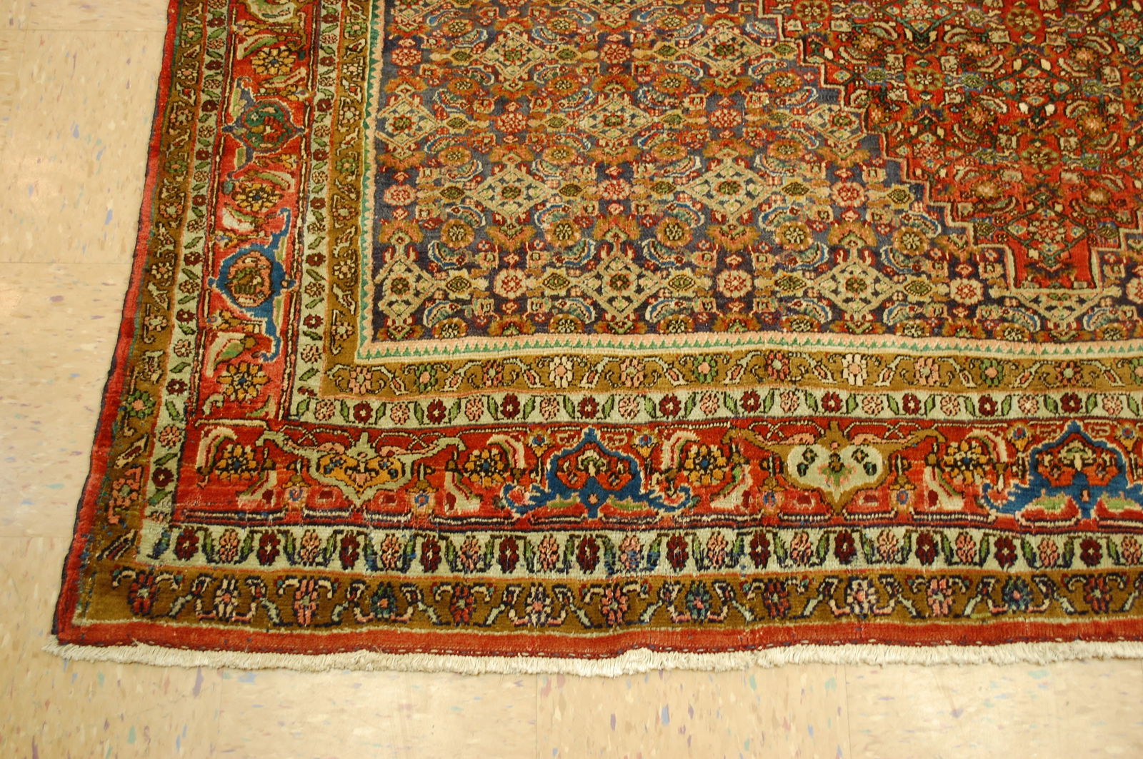 Persian BIJAR RUG 6'8" x 9'5" - 3
