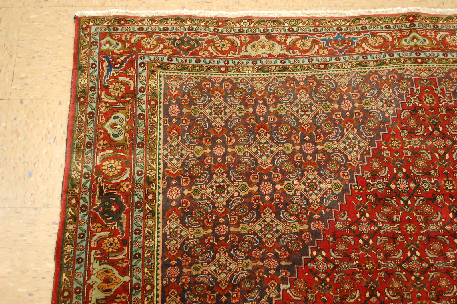 Persian BIJAR RUG 6'8" x 9'5" - 4